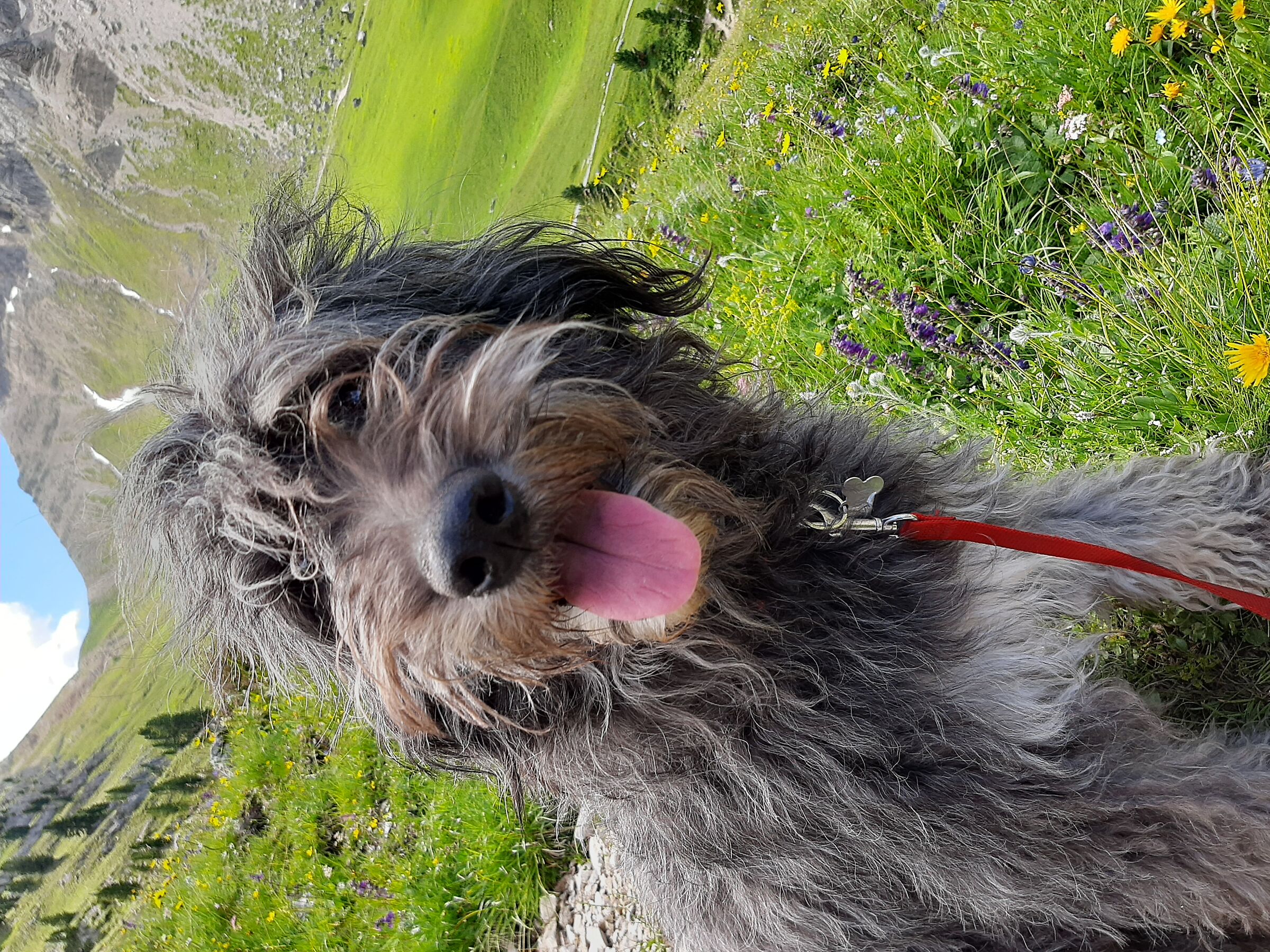 eleganza "bergamasca"