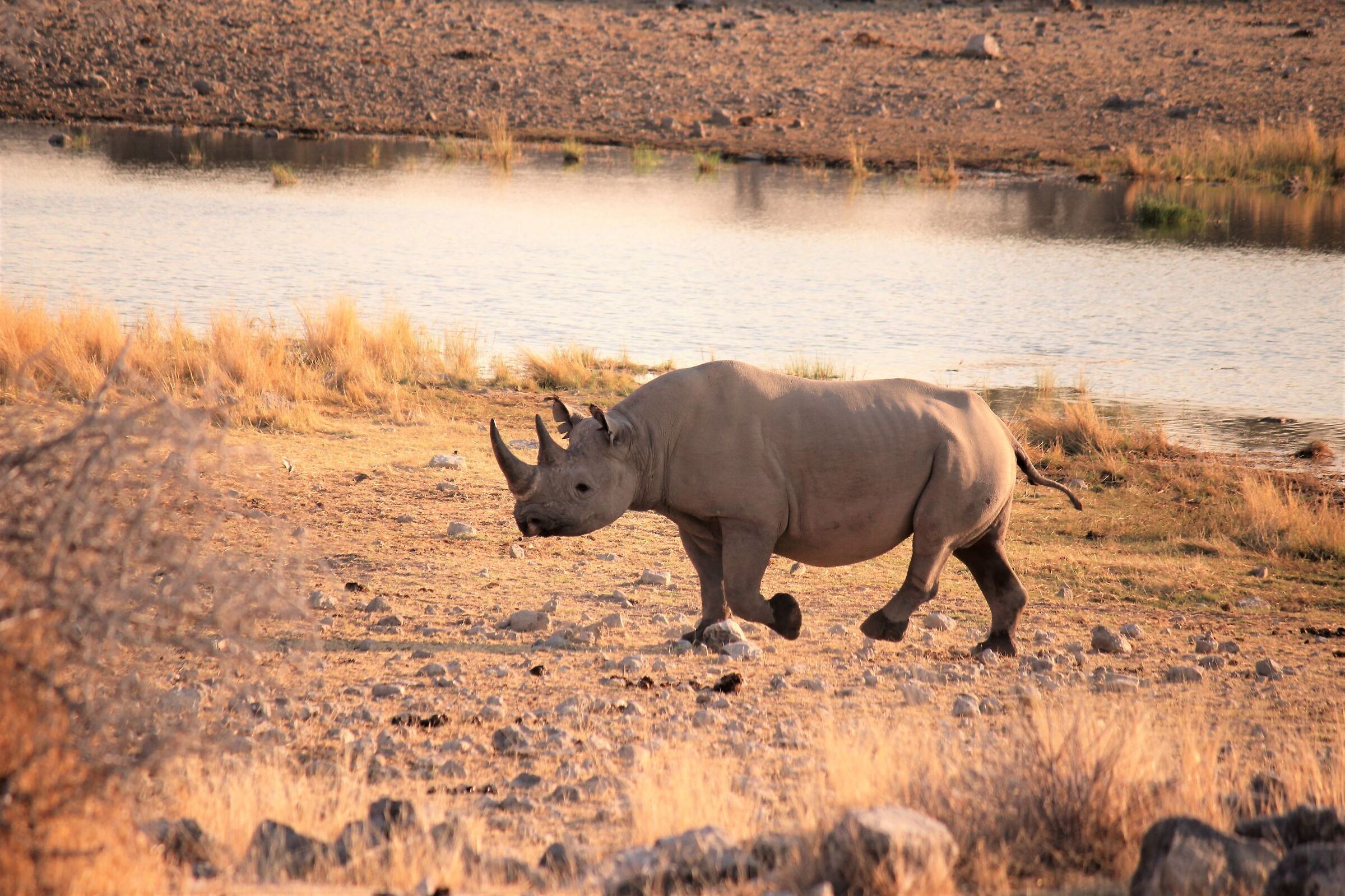 Incontri al tramonto