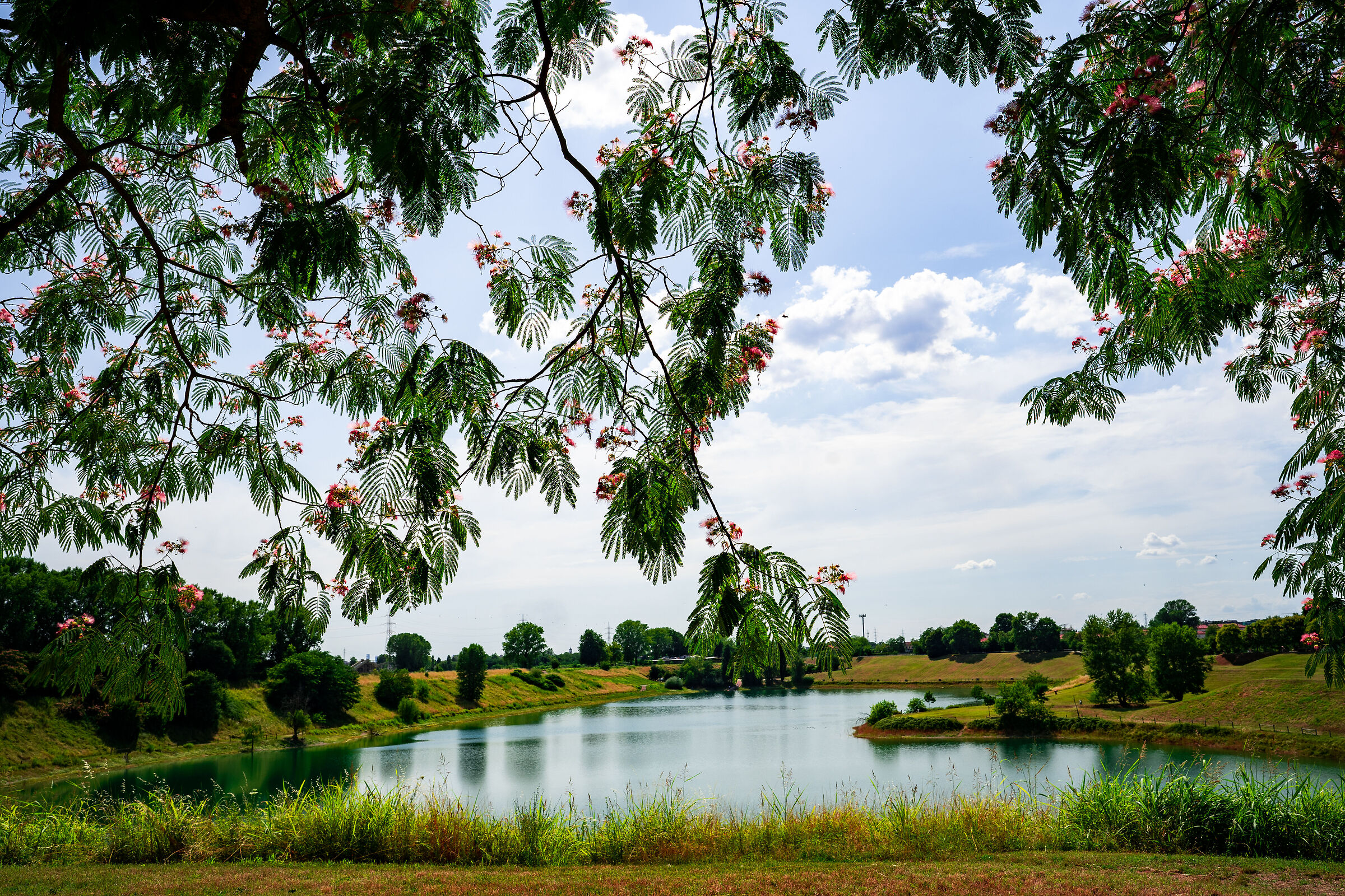 Increa Brugherio Park