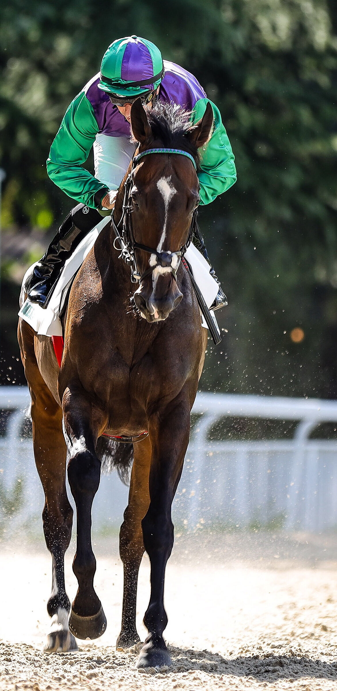 Potenza e leggerezza