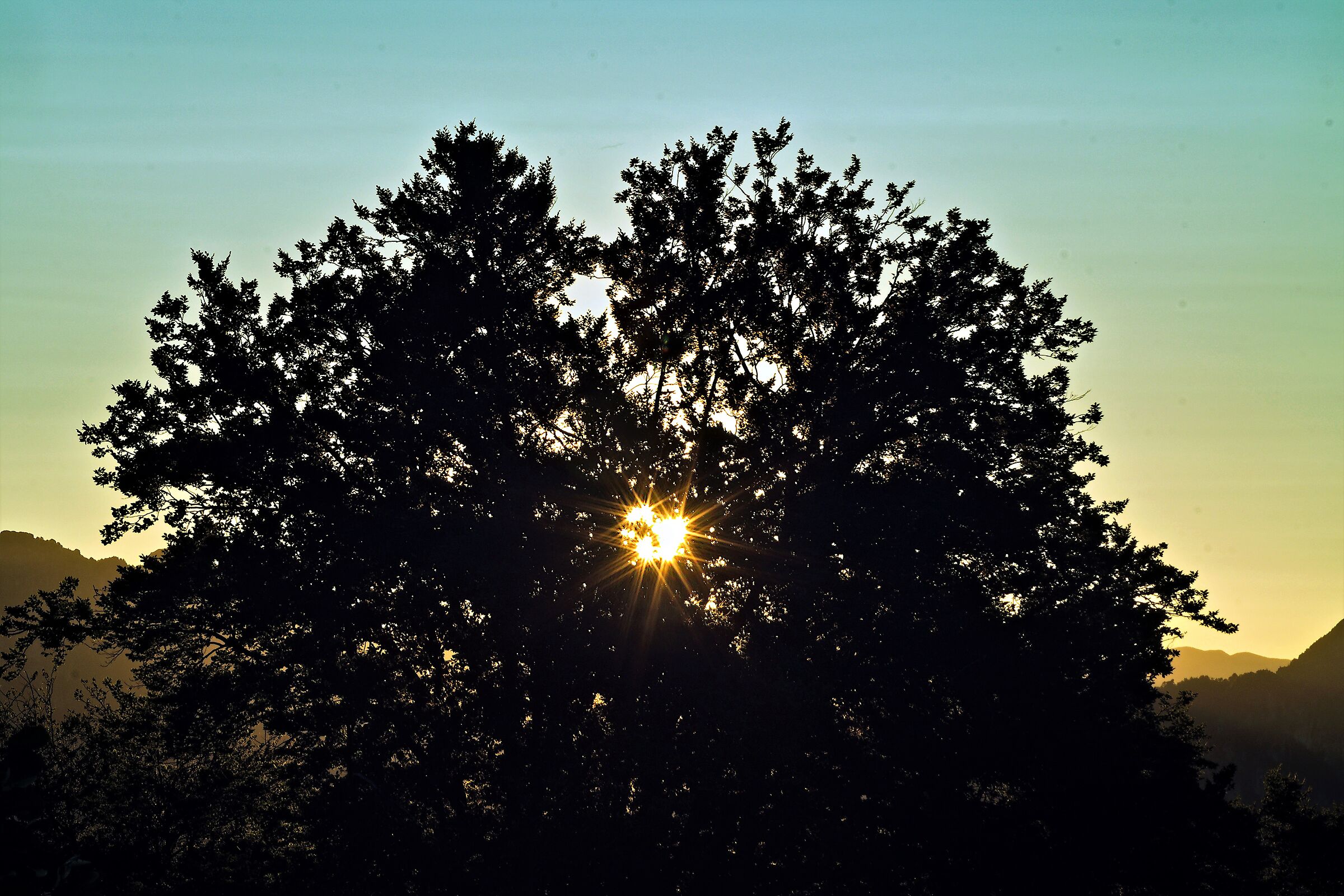 Magic light