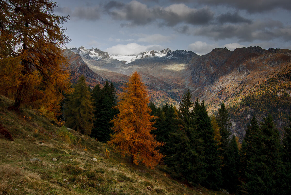 Lo spettacolo della Val Genova ...