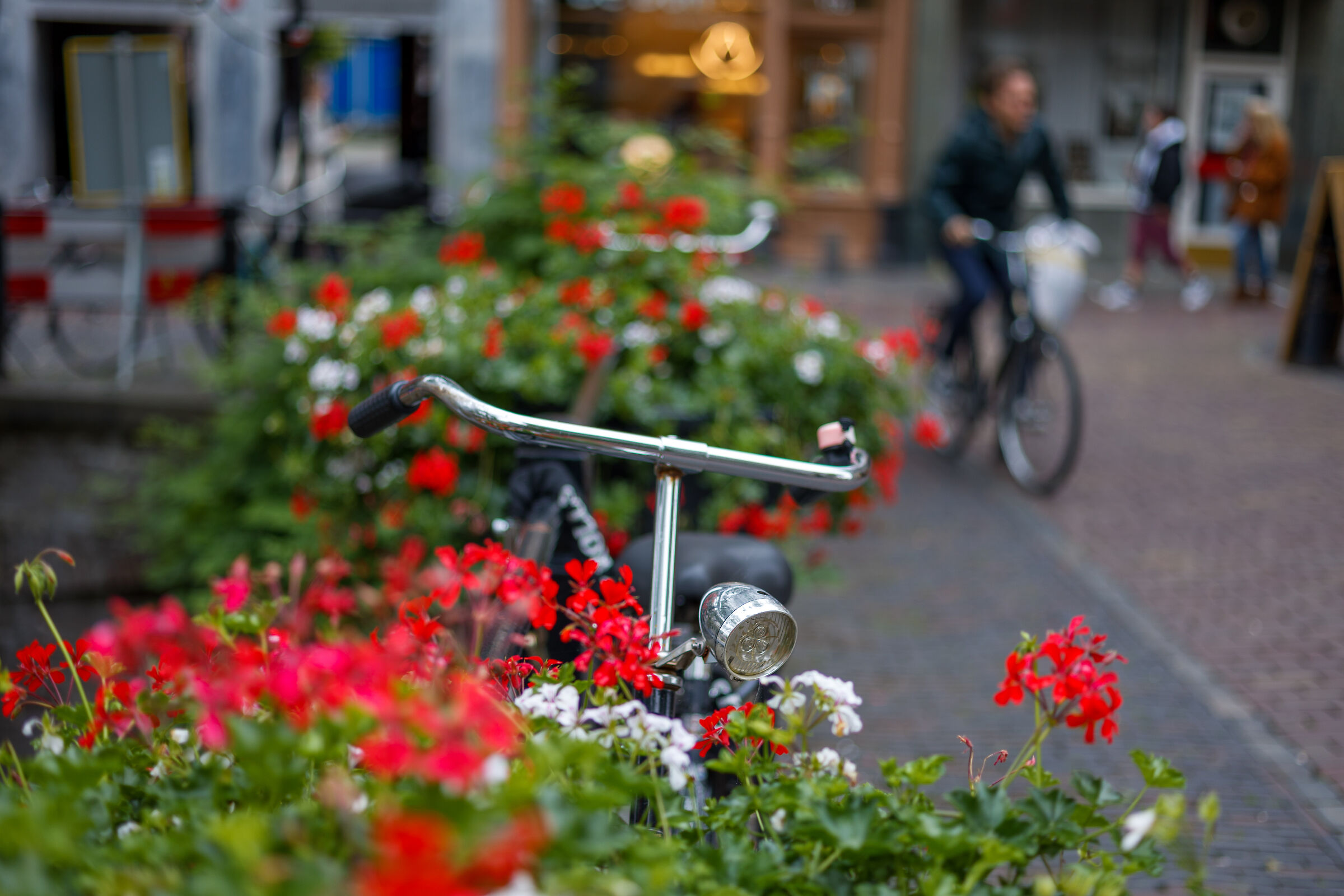 bicycle, bridge and flowers