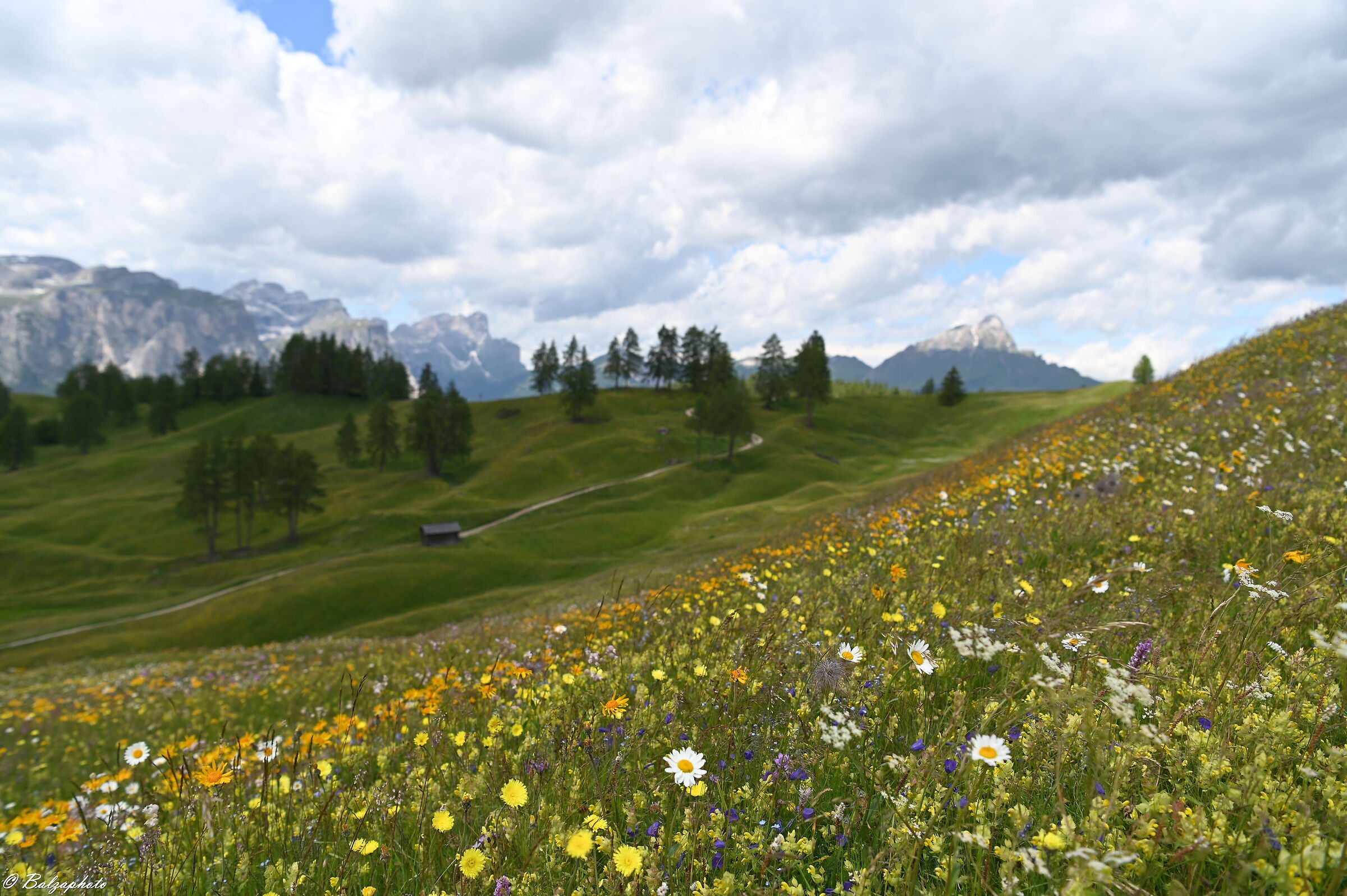 Prati dell`Armentara