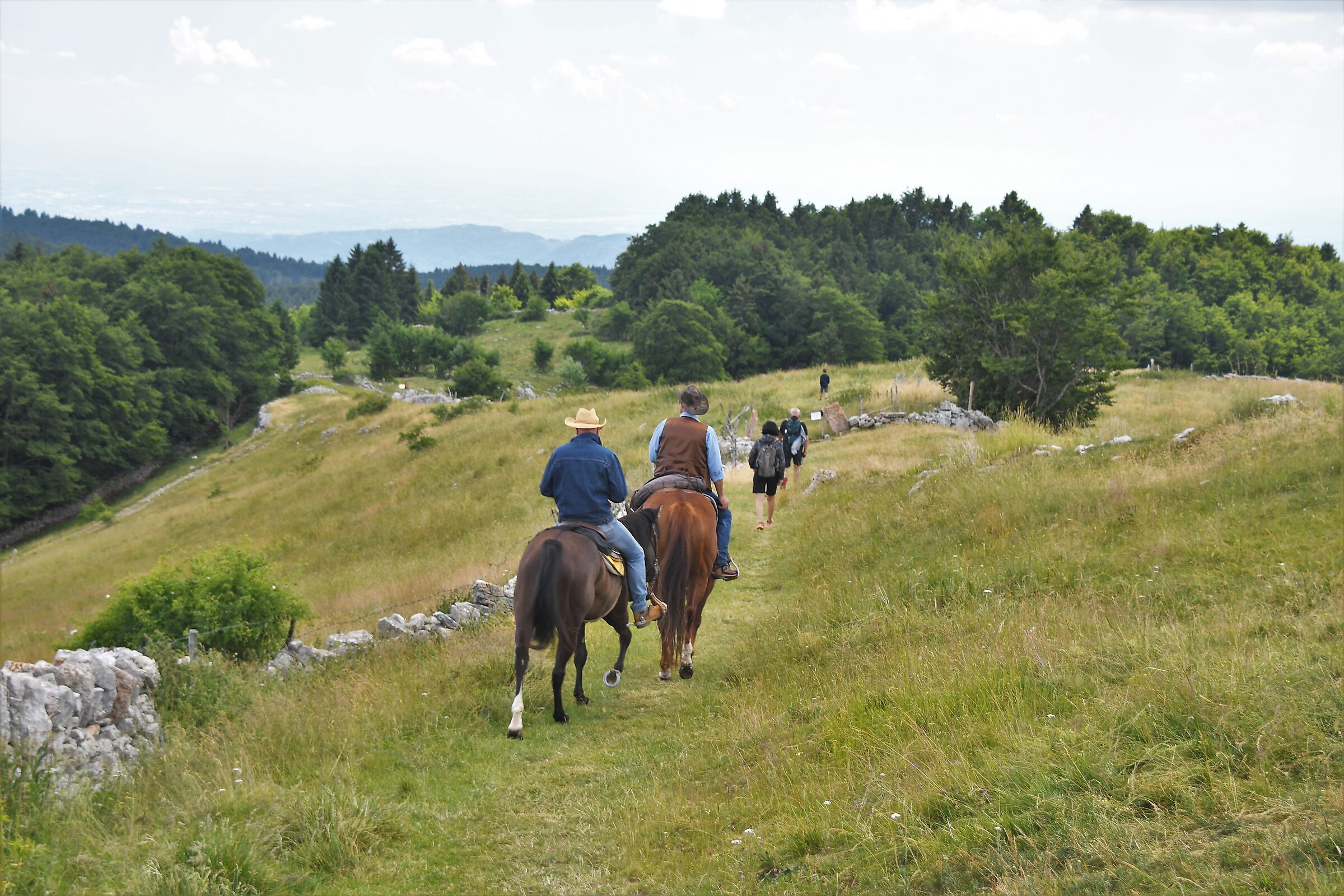 Cavalieri in Lessinia..nei pressi di Malga Brol
