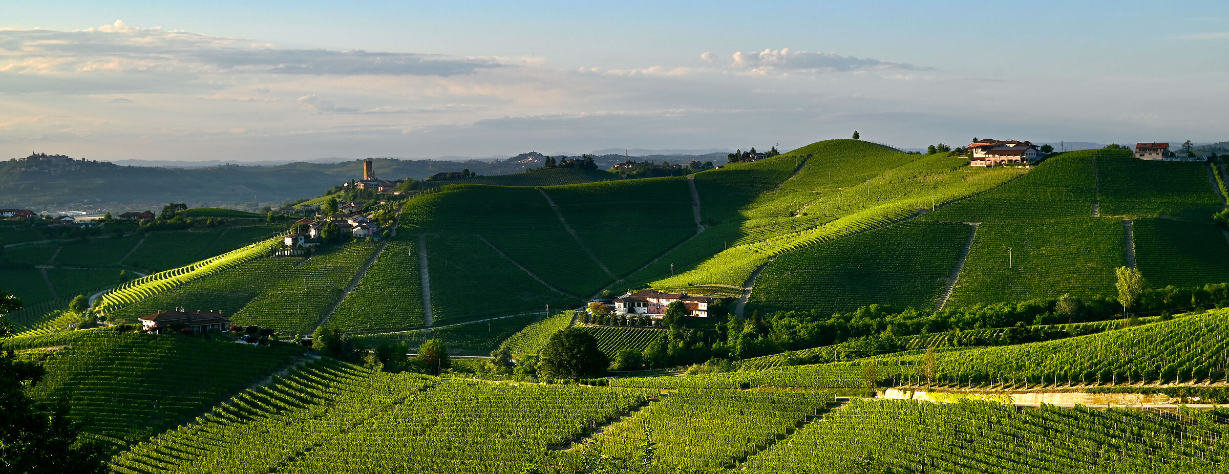 Langhe