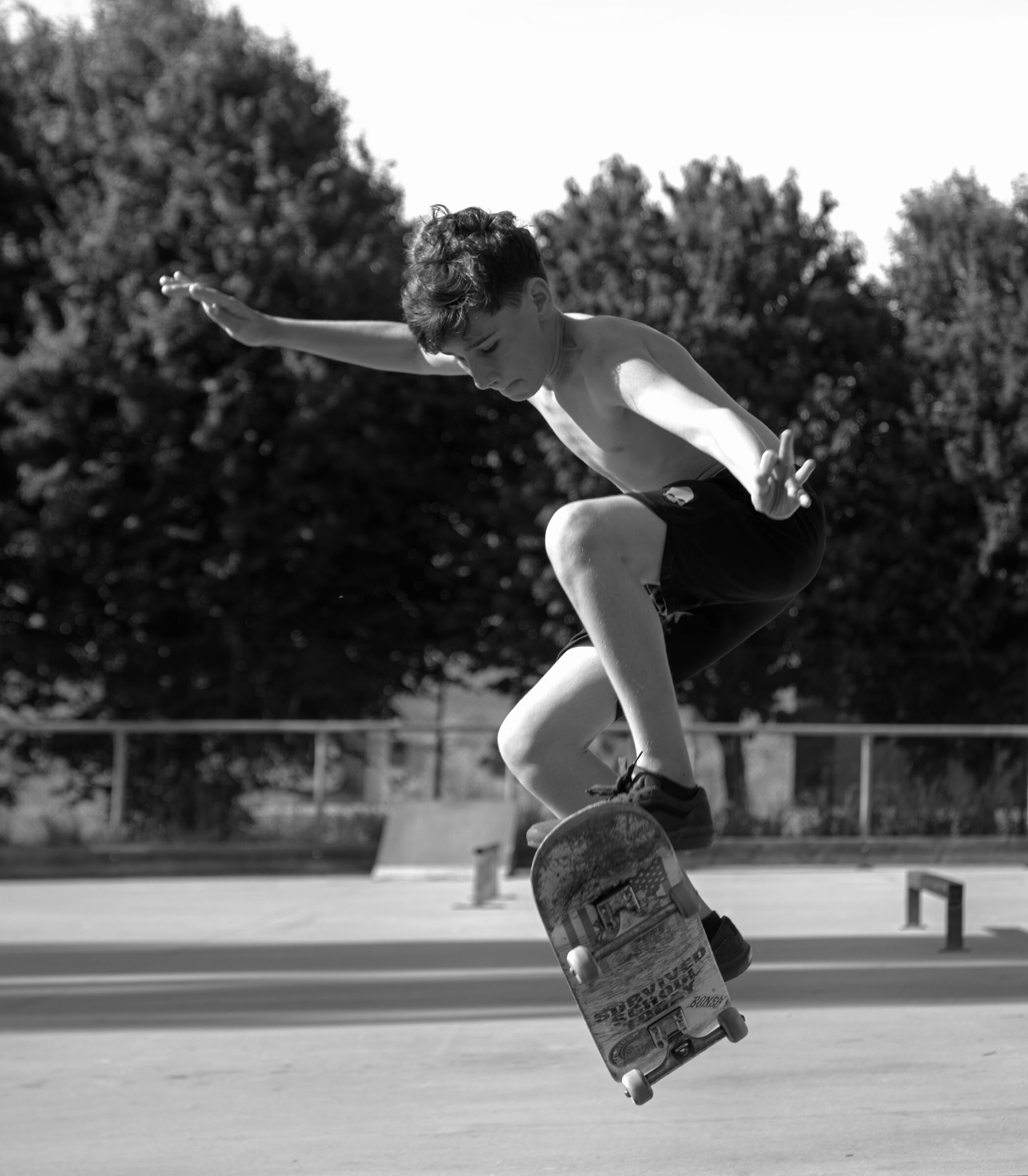 Skate Life 1