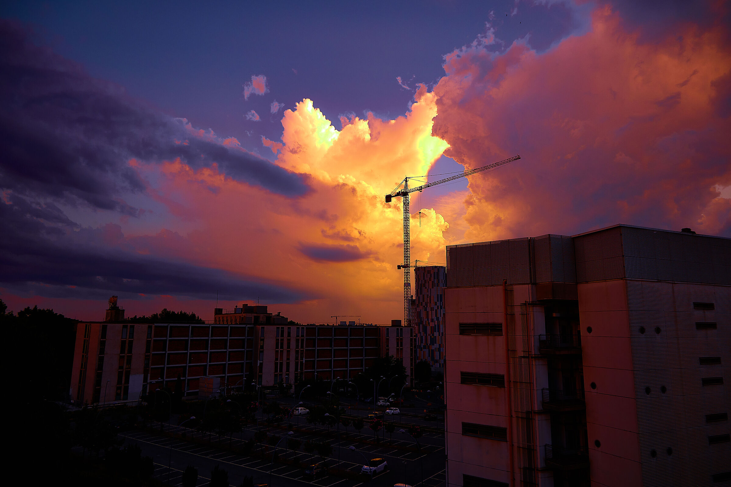The sunset