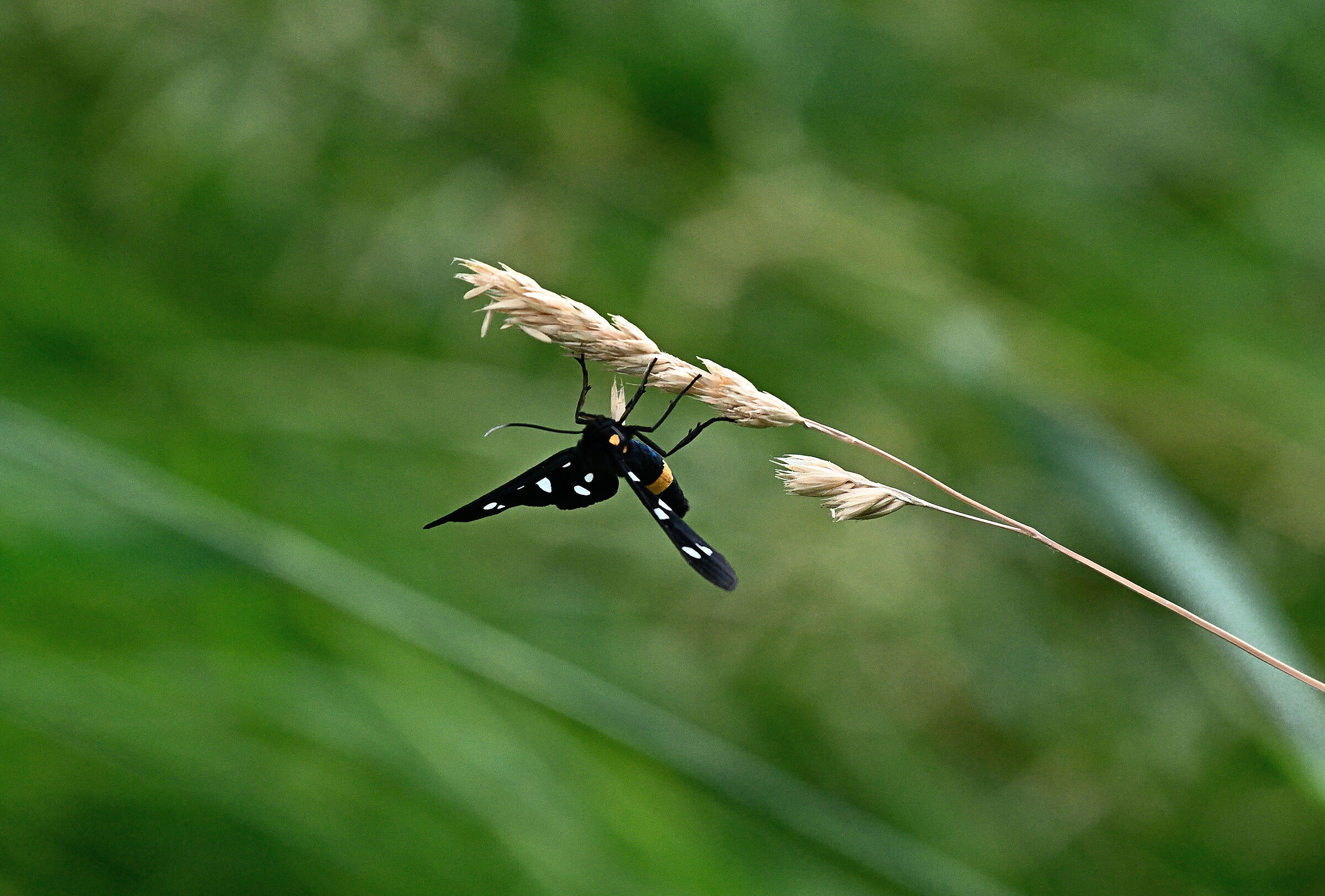 Perché guardo in alto?