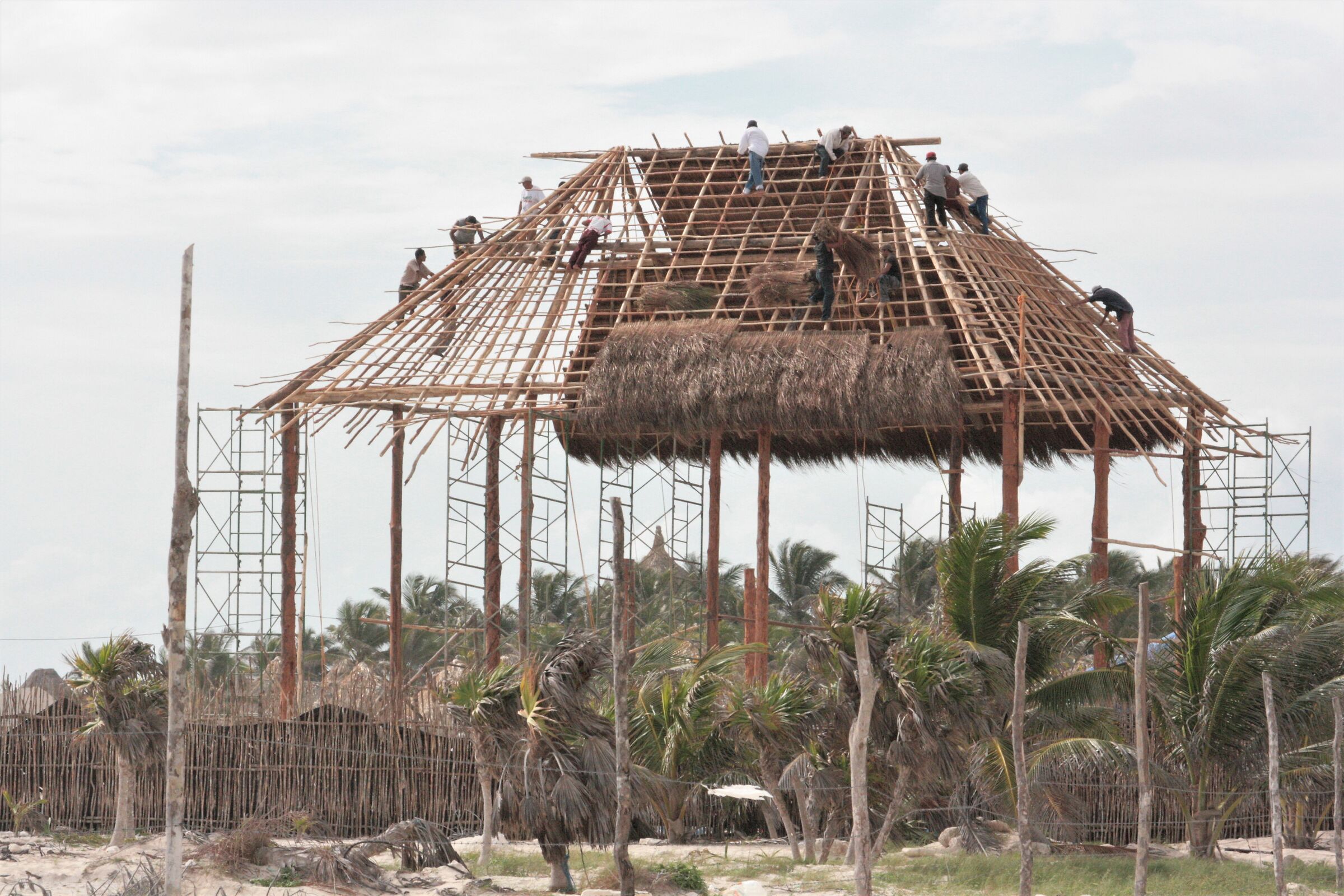 Lavoratori messicani