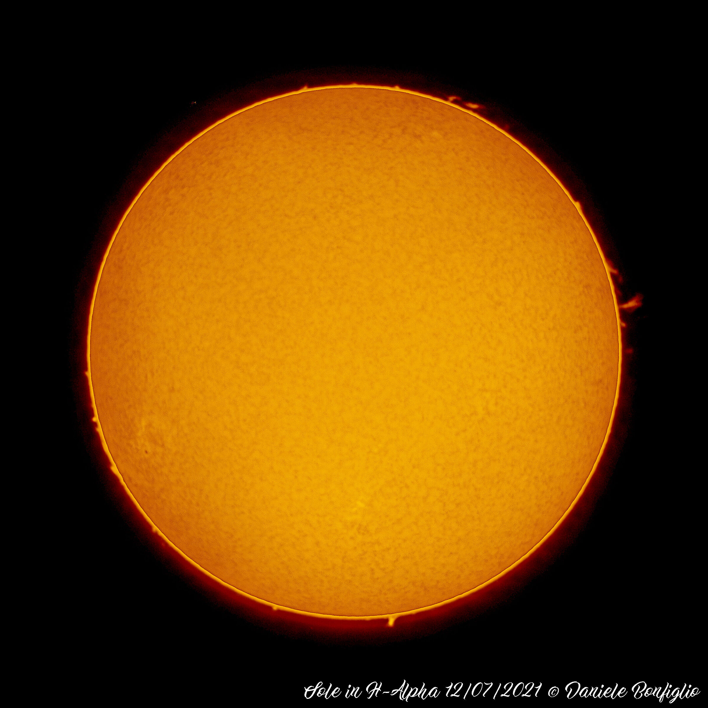 My first Sun in H-alpha