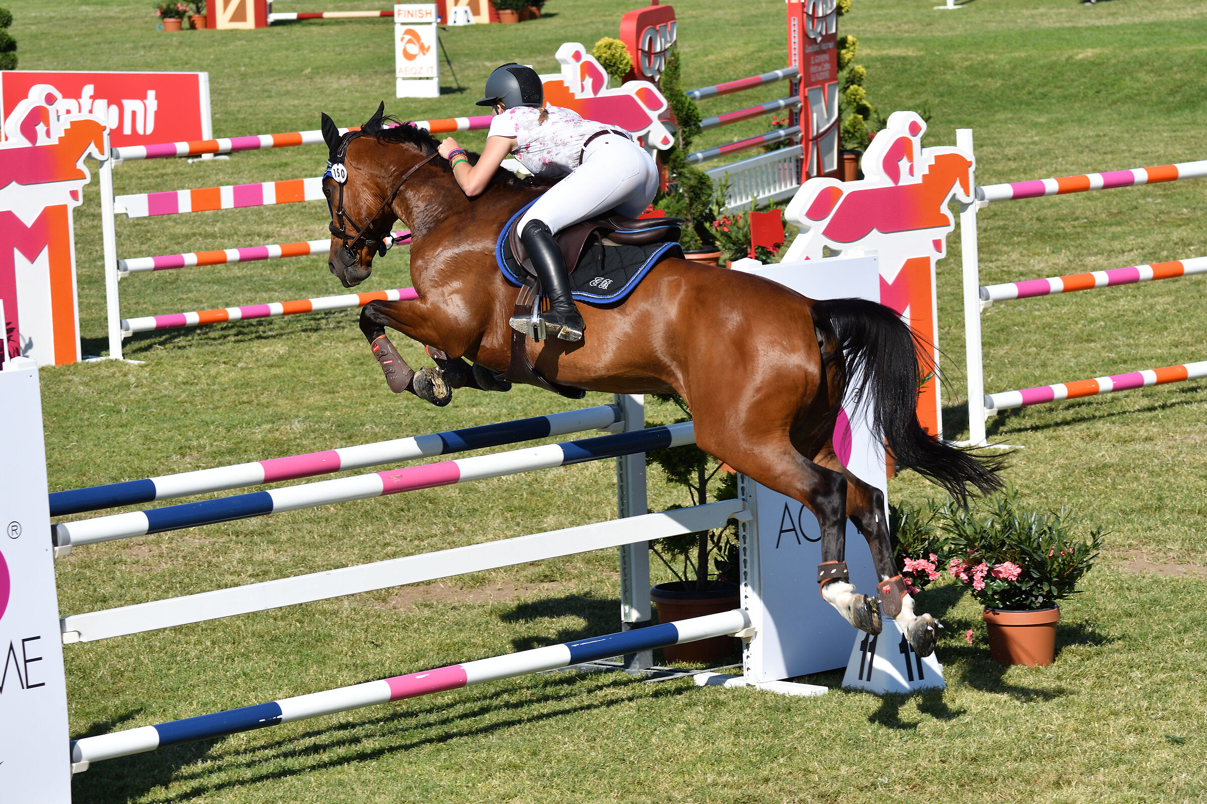 Jumping cup Milano 2021_1