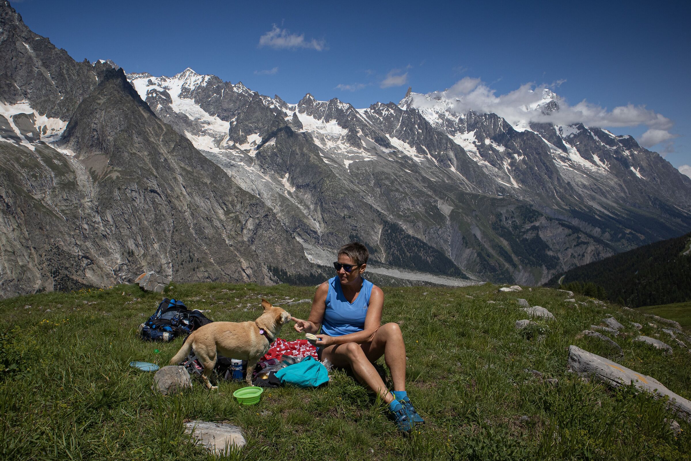 picnic lontano dalle formiche