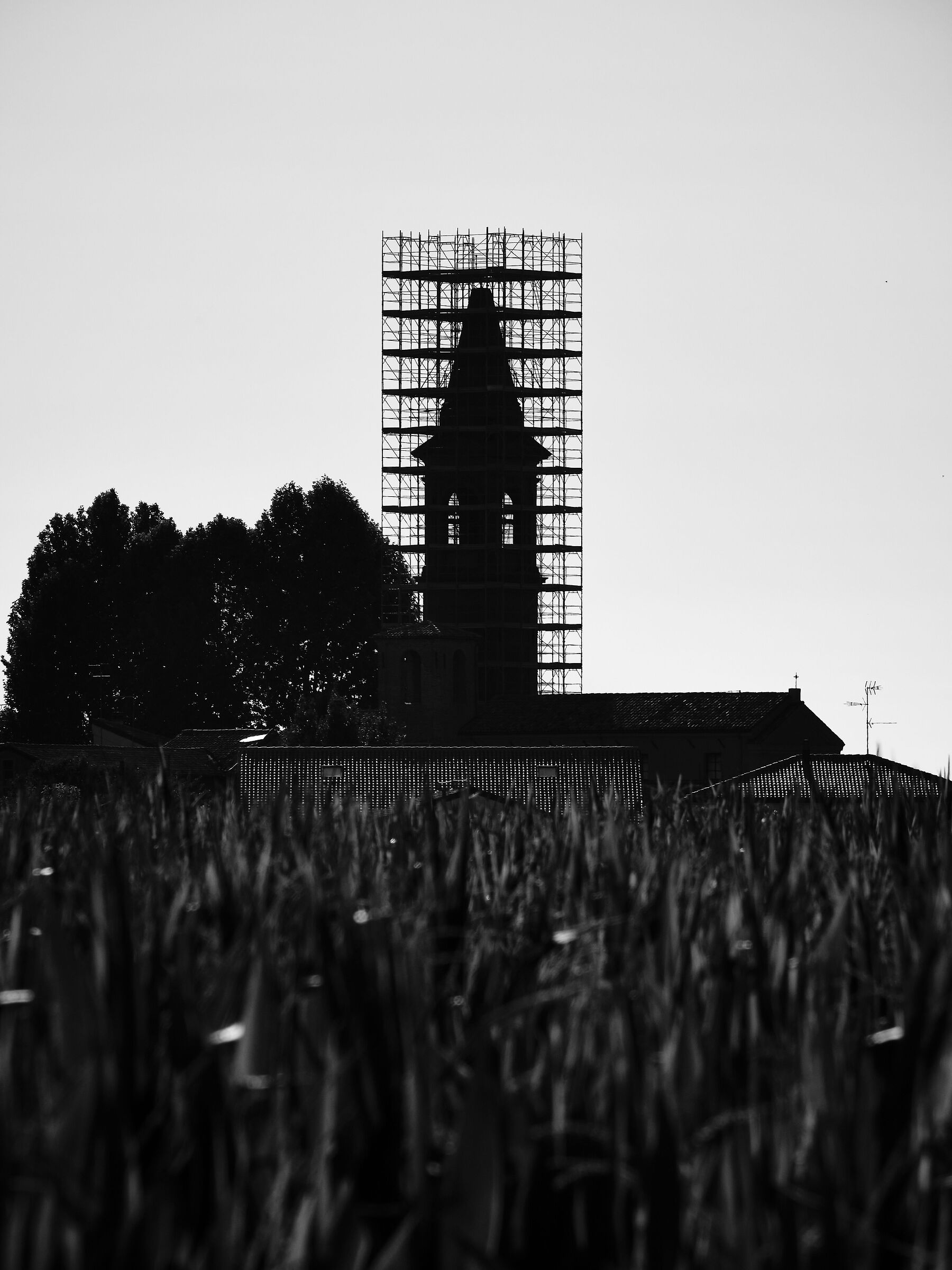 Still scratches of 2012.