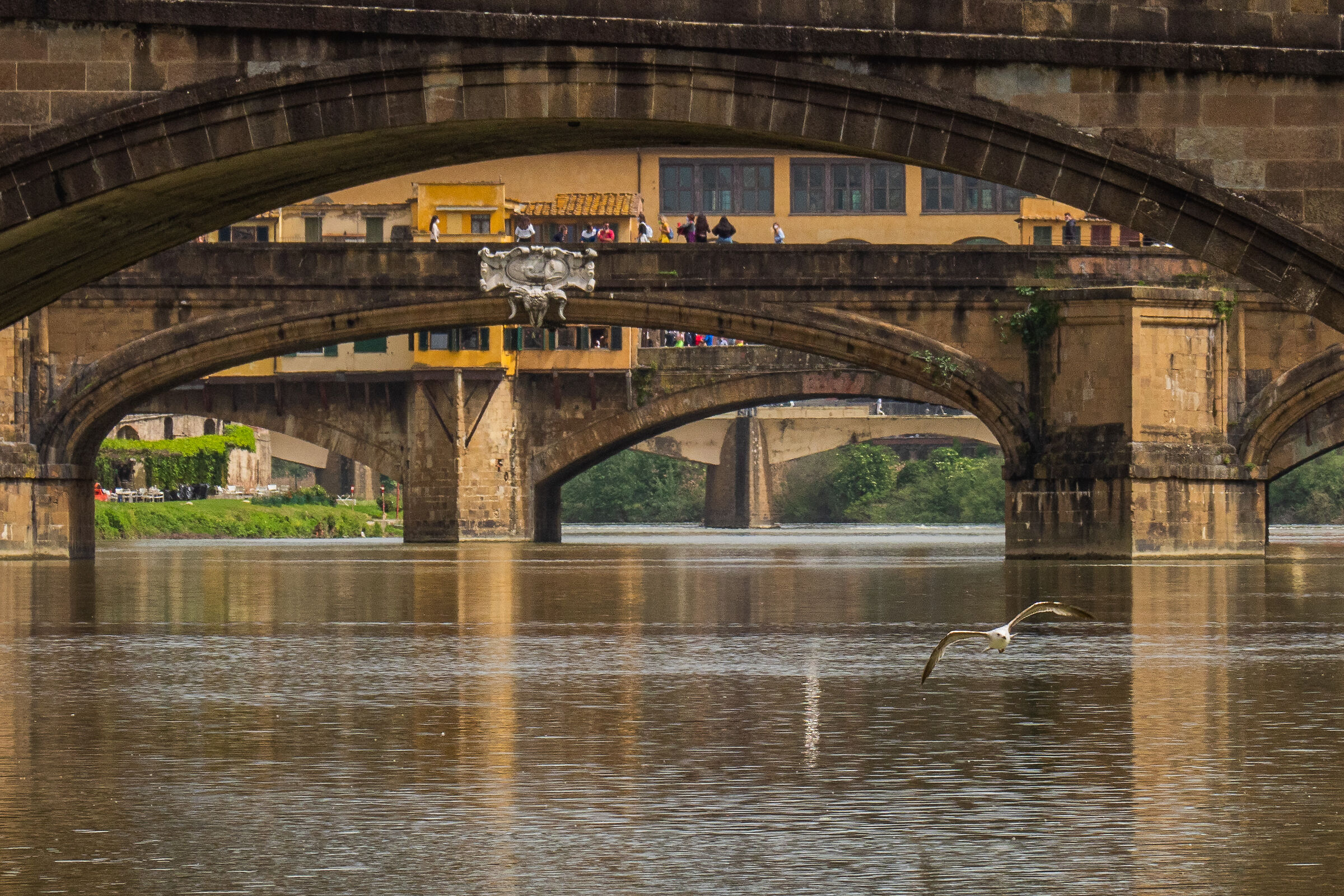 The Arno in Florence 02
