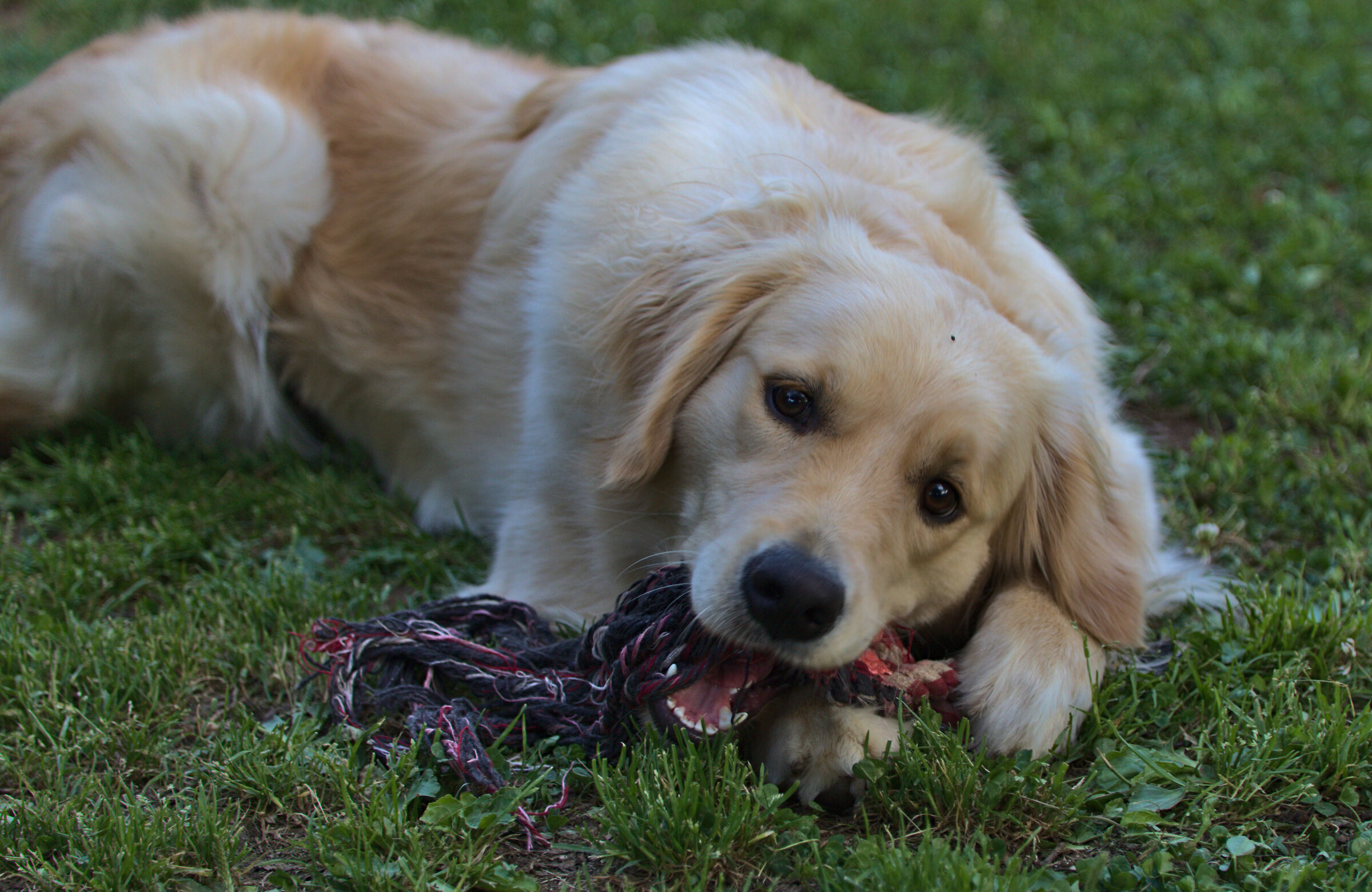 Melody #6, come mi piacciono i miei giochi