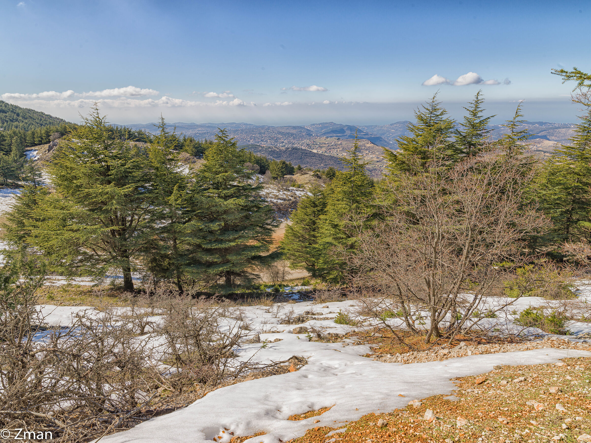Riserva dei cedri di Al Barouk
