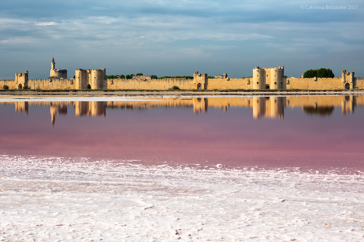 Aigues Mortes en rose