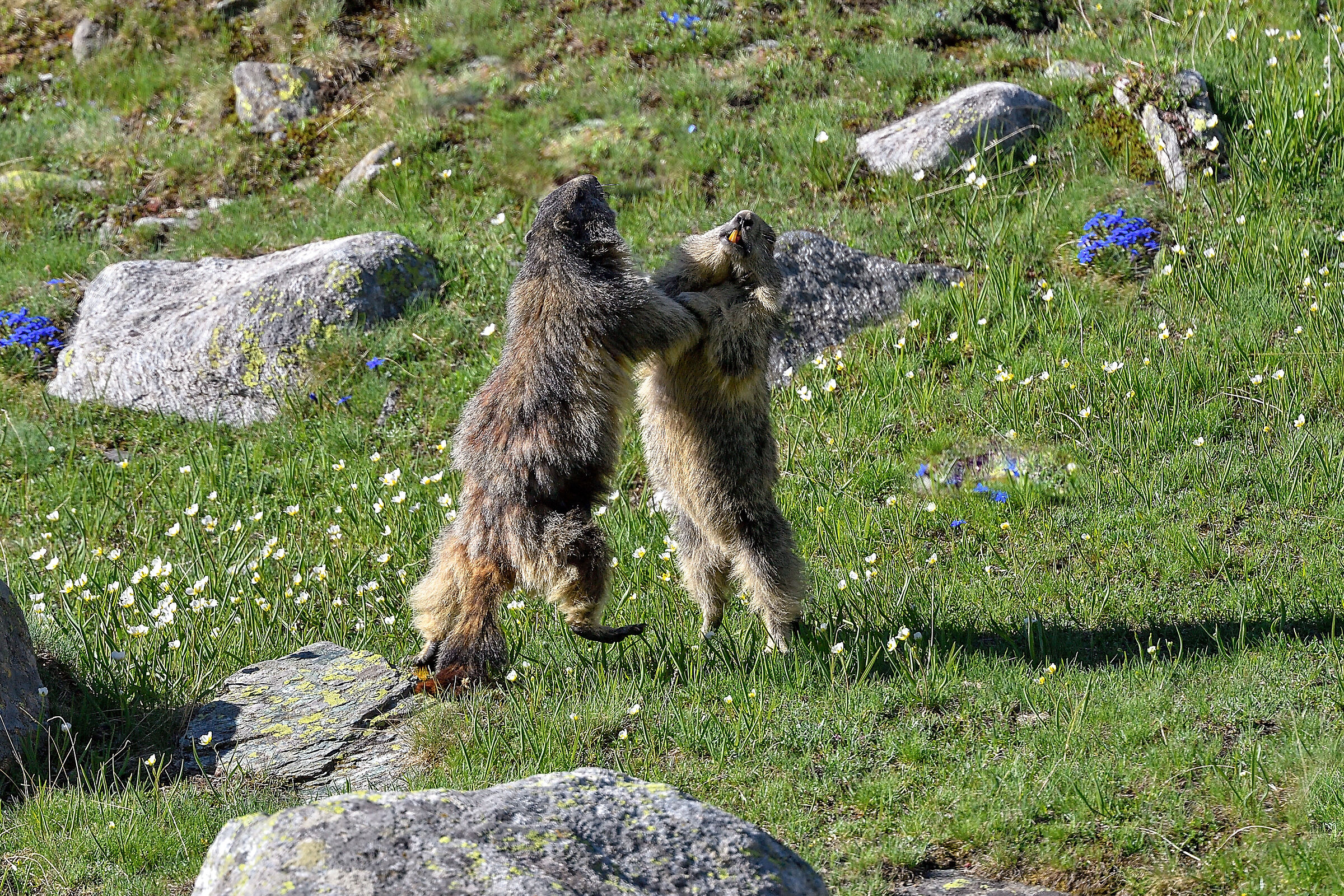 bisticci in famiglia