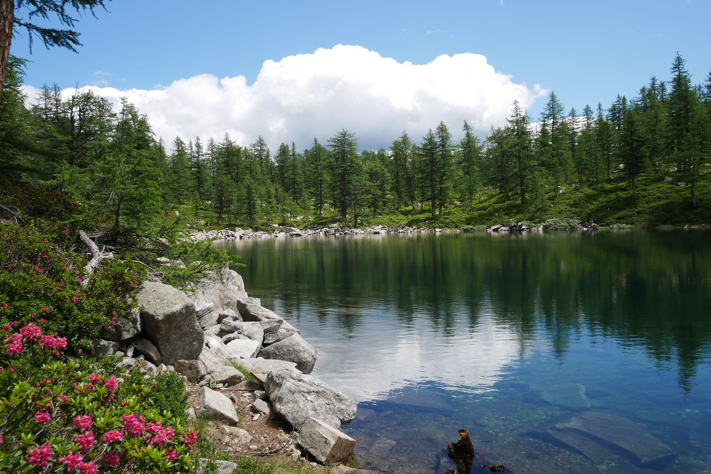 Lago Nero in Val Buscagna