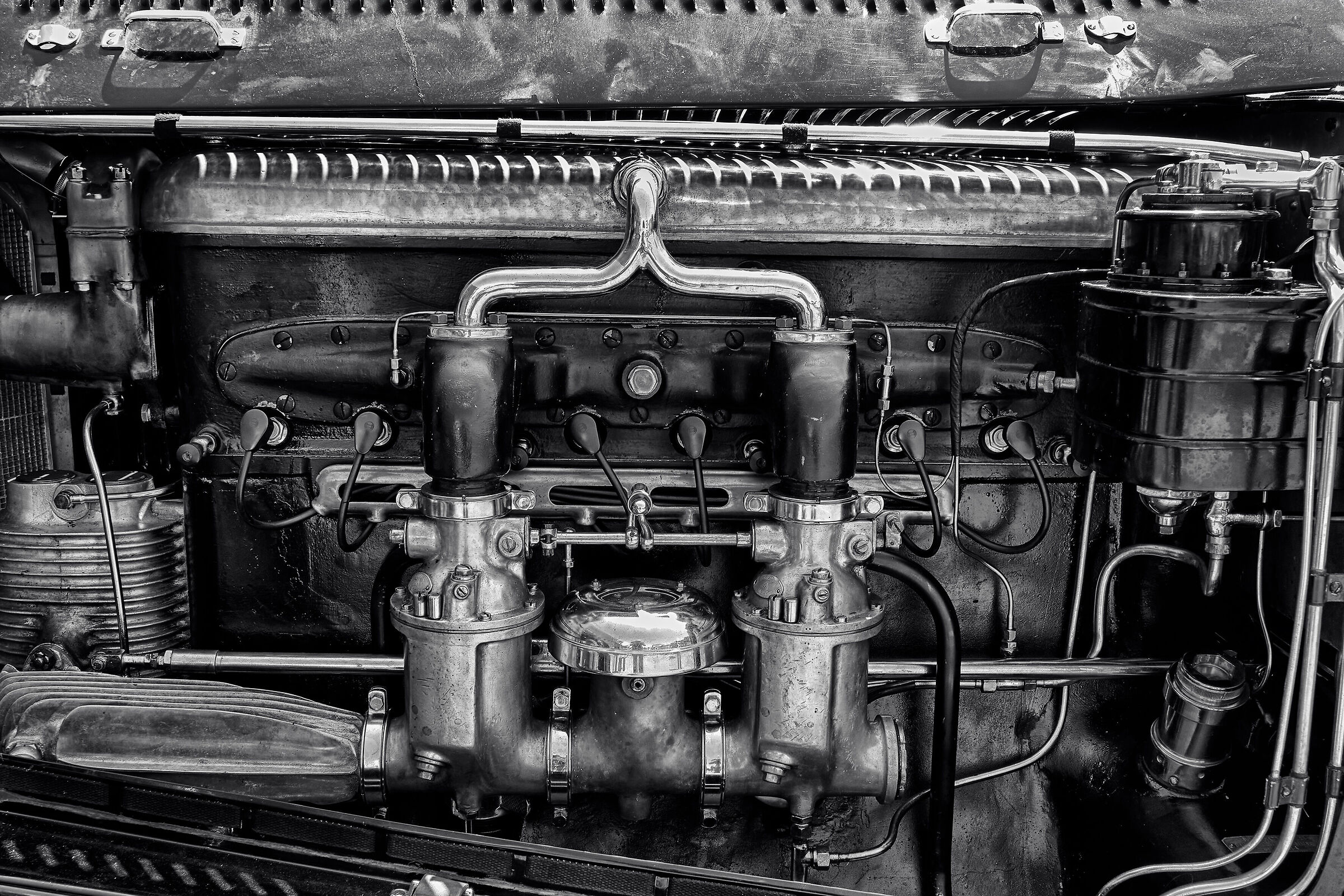 Details from paddock 3