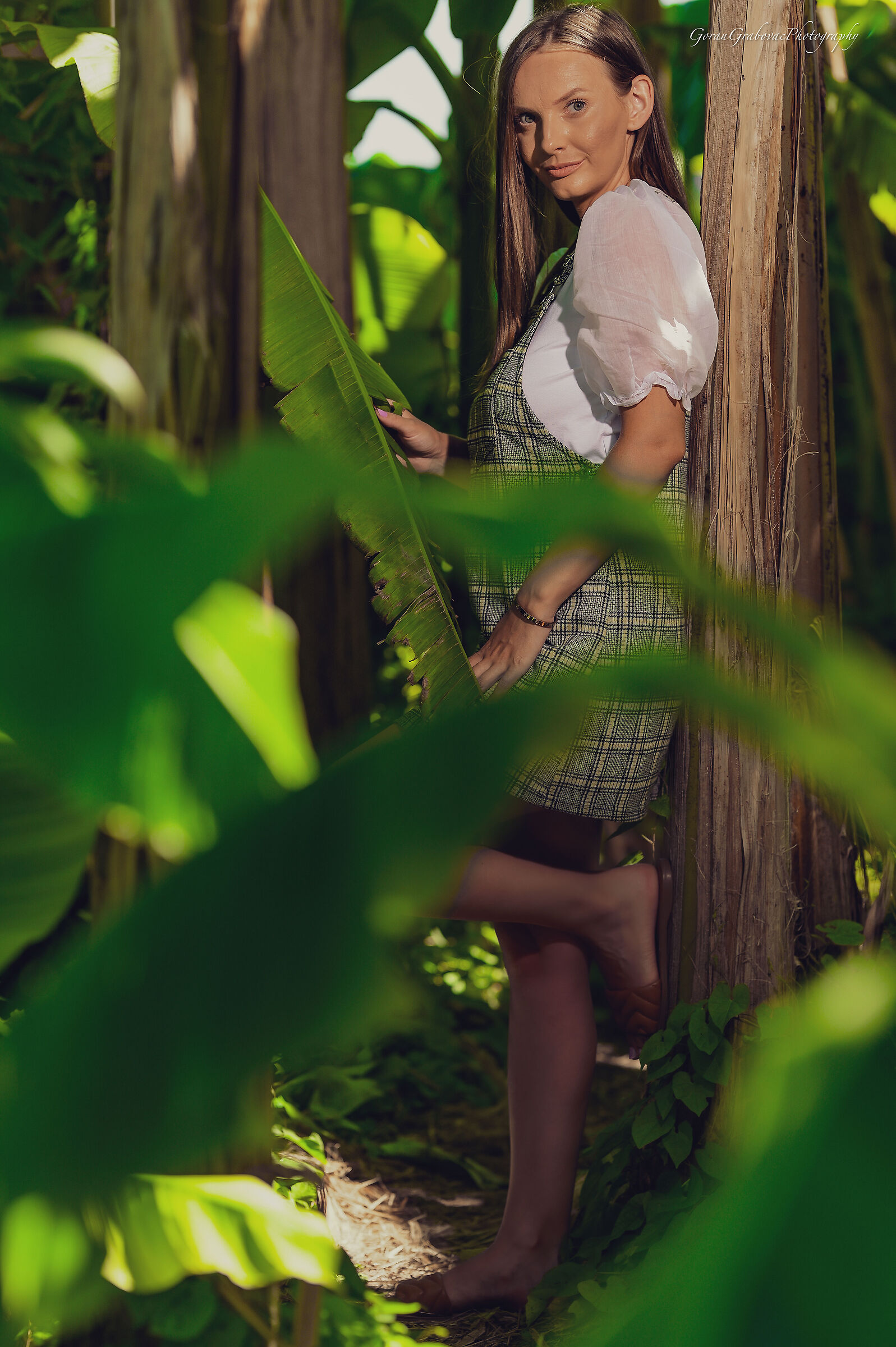 Untitled Photo