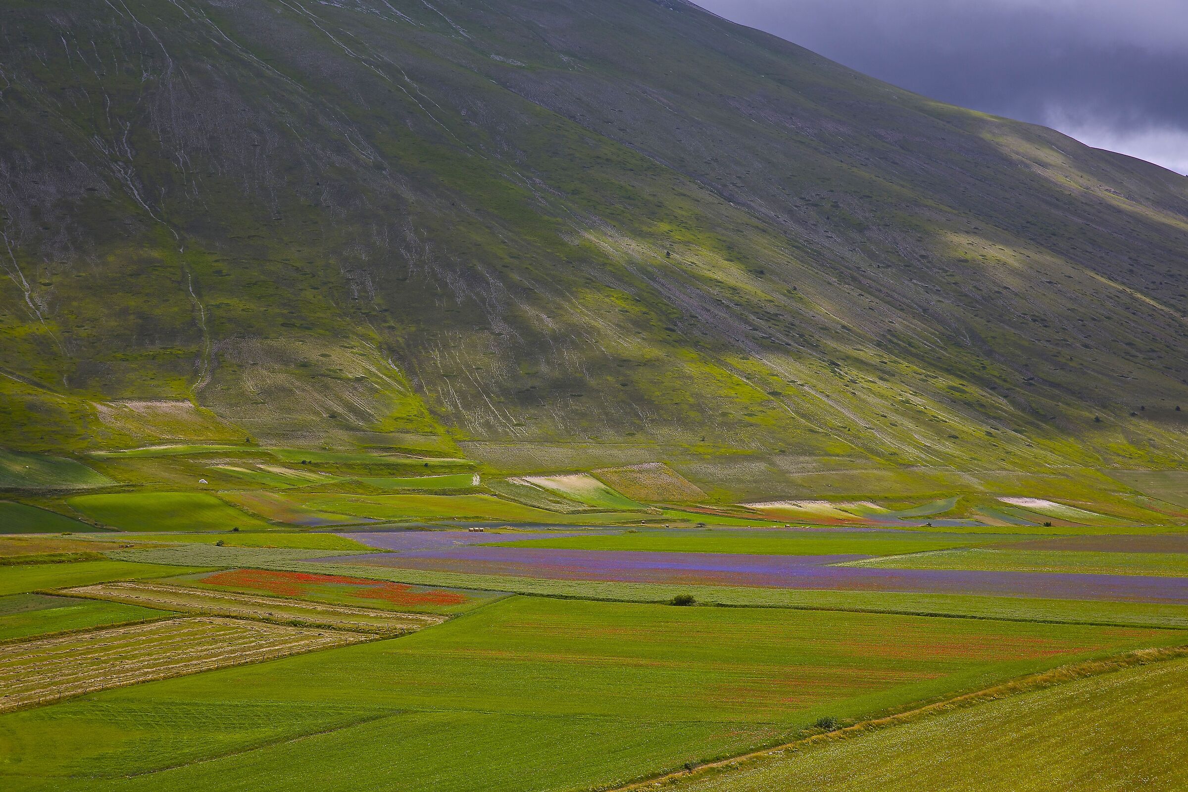 Always Castelluccio di Norcia