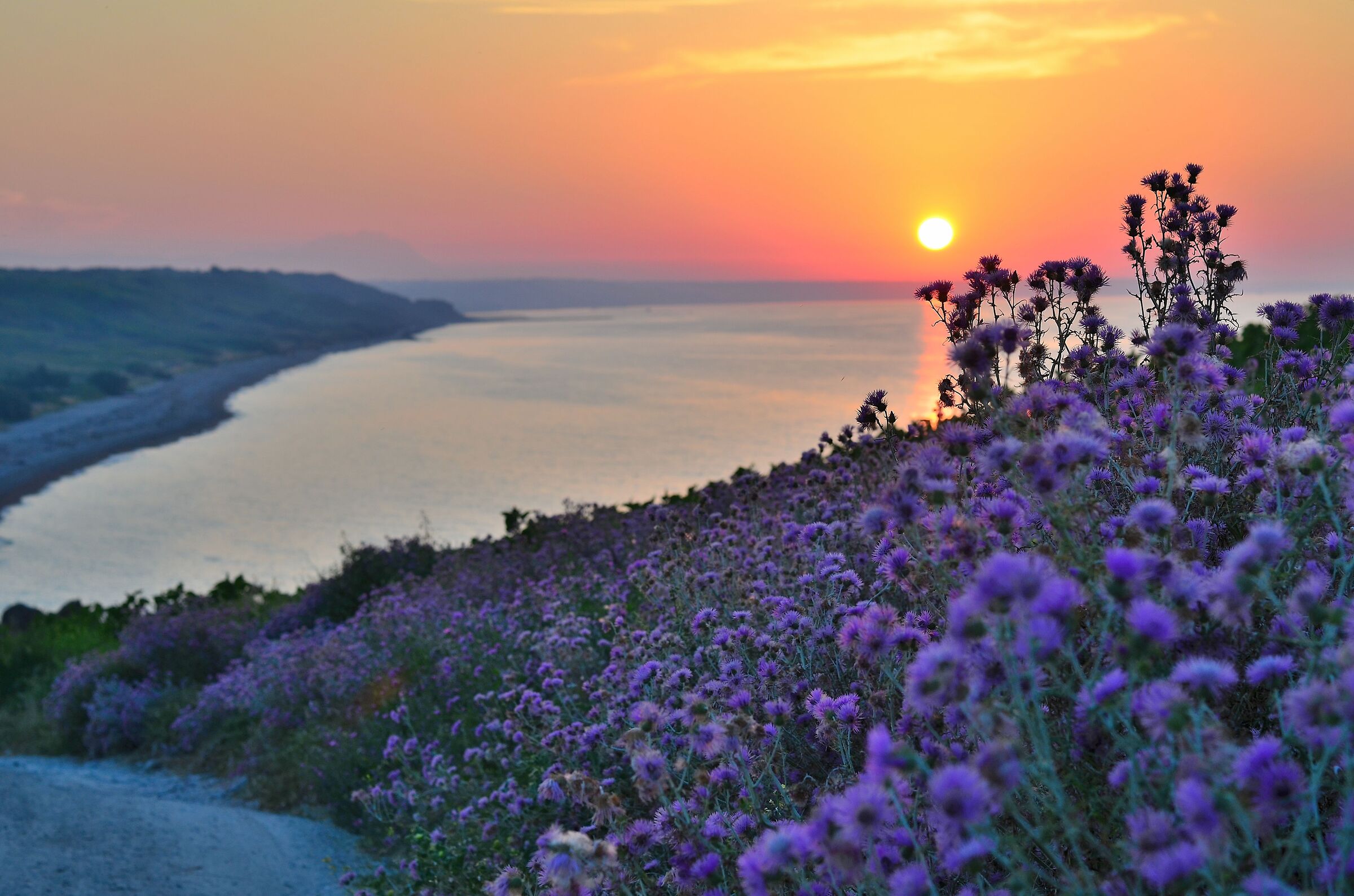 Another day he leaves