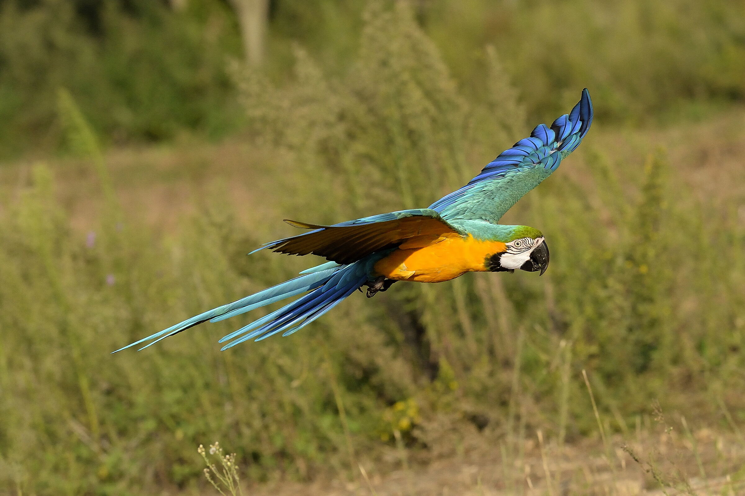 On patrol