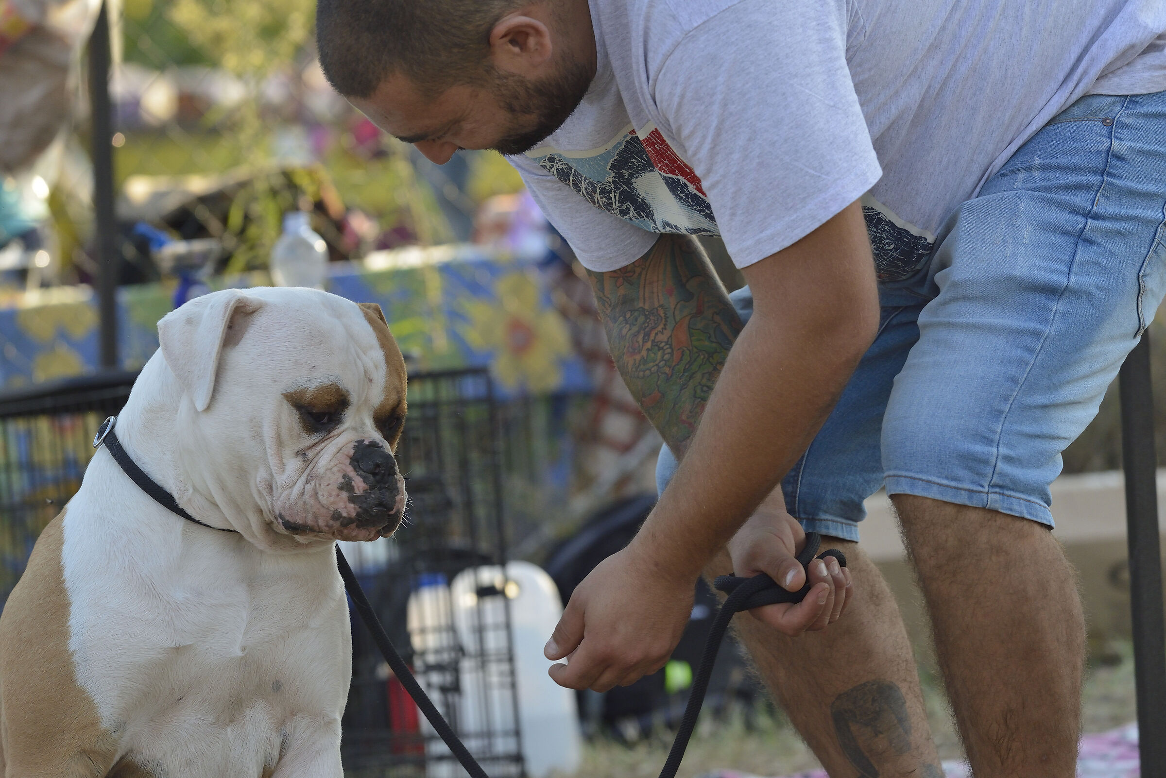 Scusa.. mi dispiace!