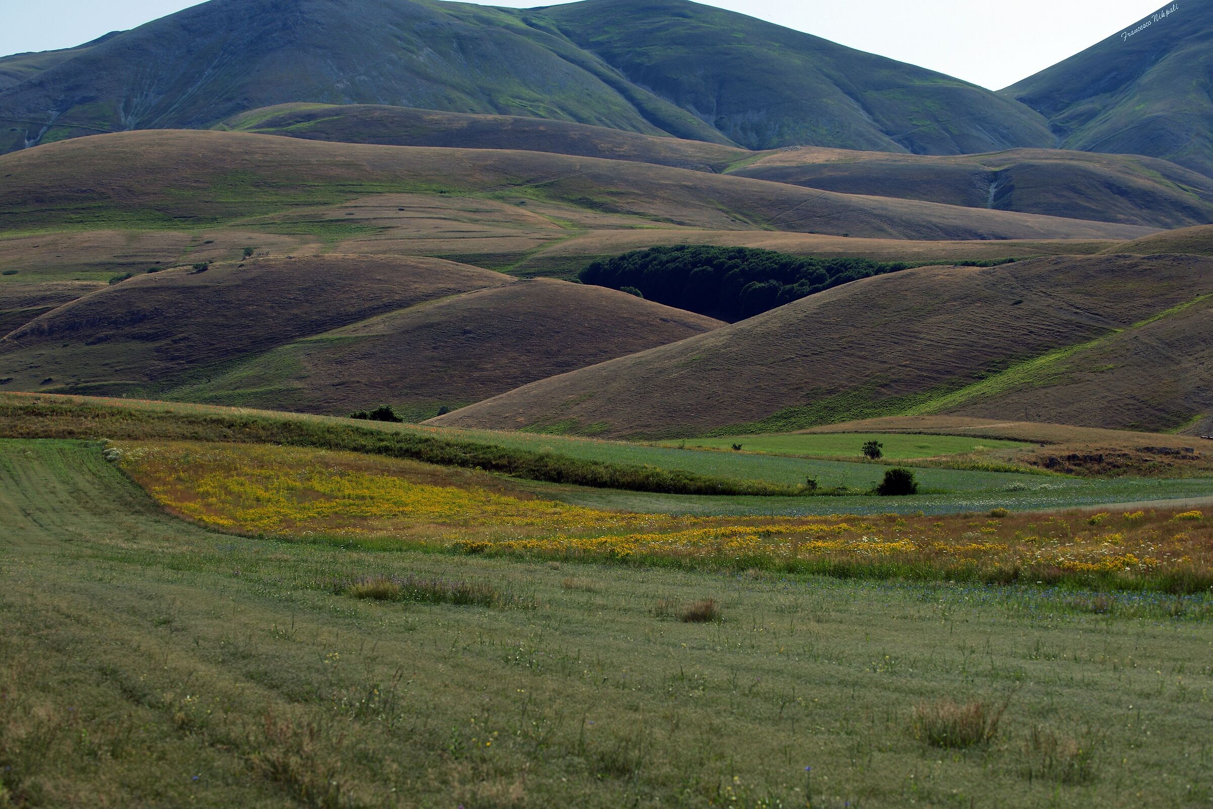 Castelluccio Now