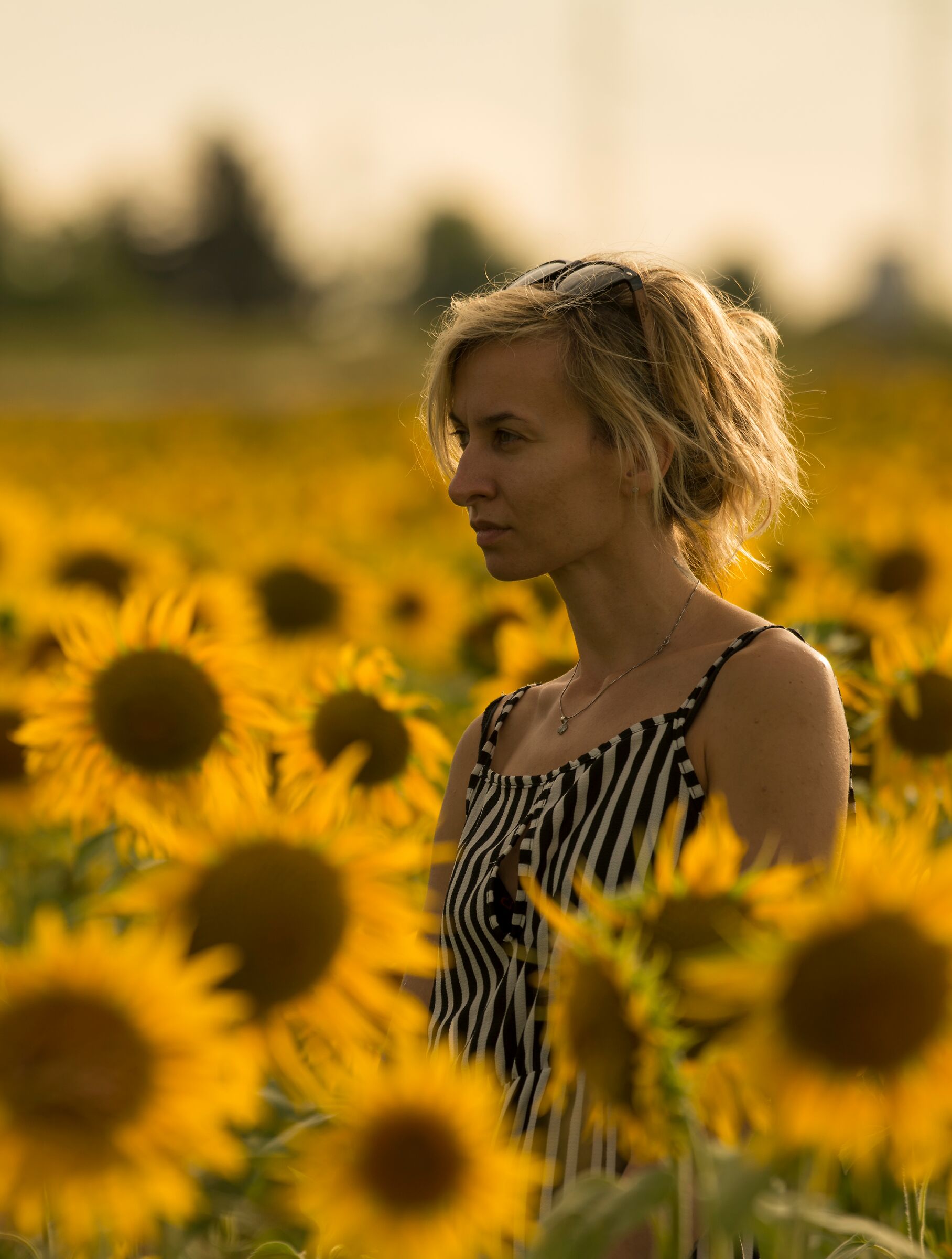 Girasoli