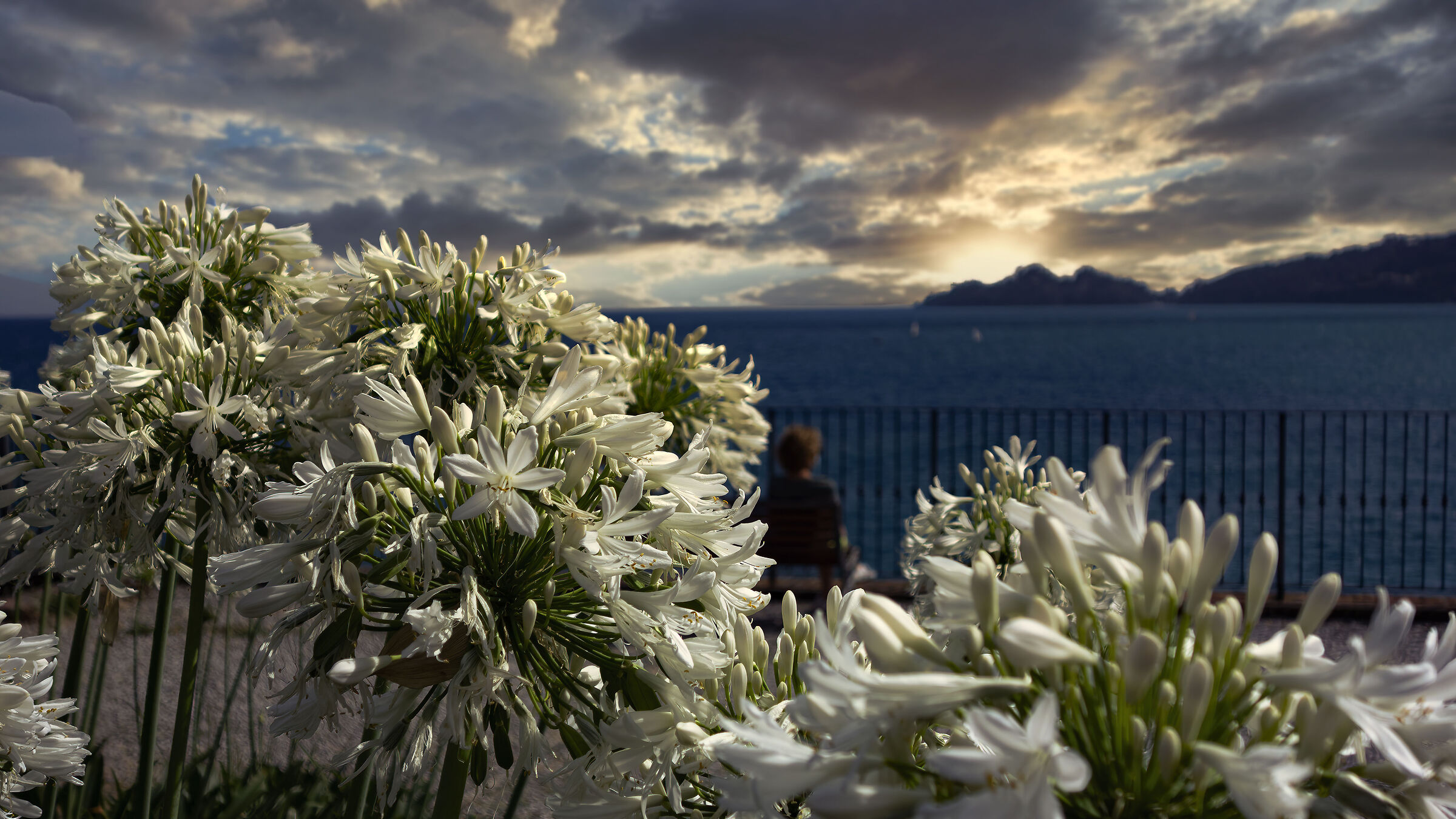 Tramonto a Portofino