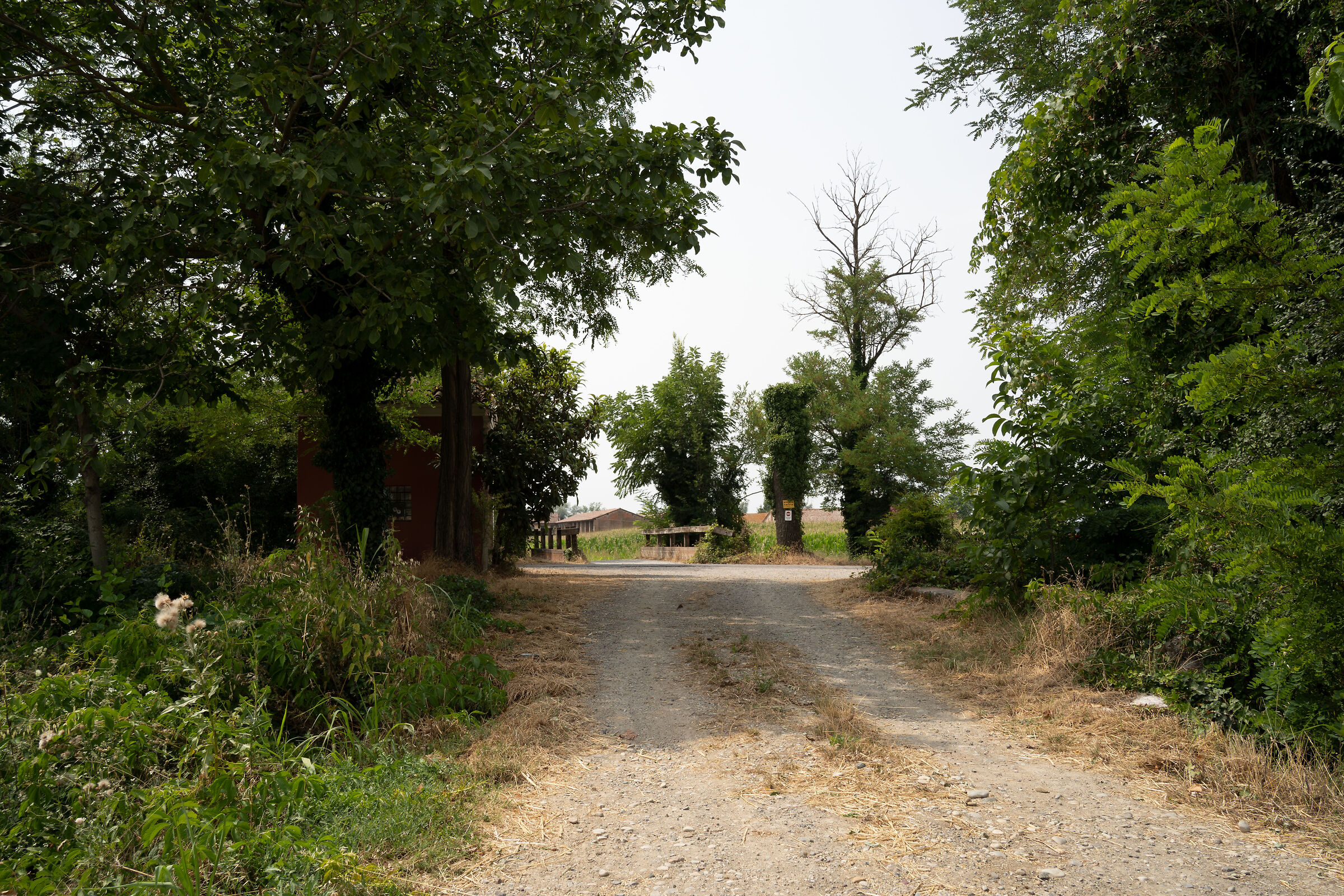 Sample Tamron 28-200 @ 28mm