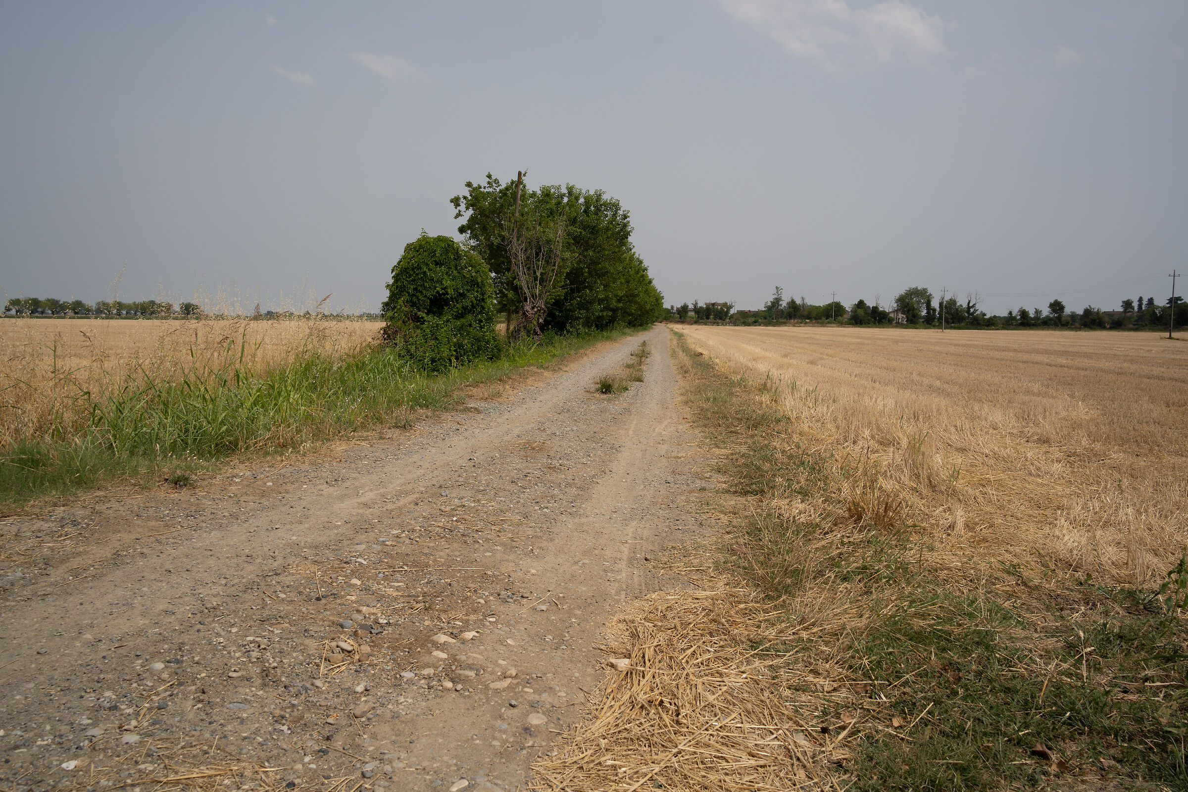 Sample Tamron 28-200 @ 28mm