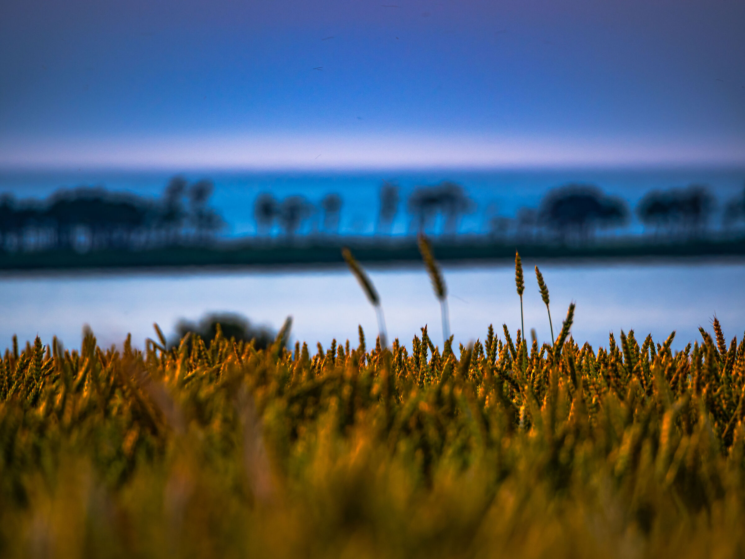 A lake overlooking the sea