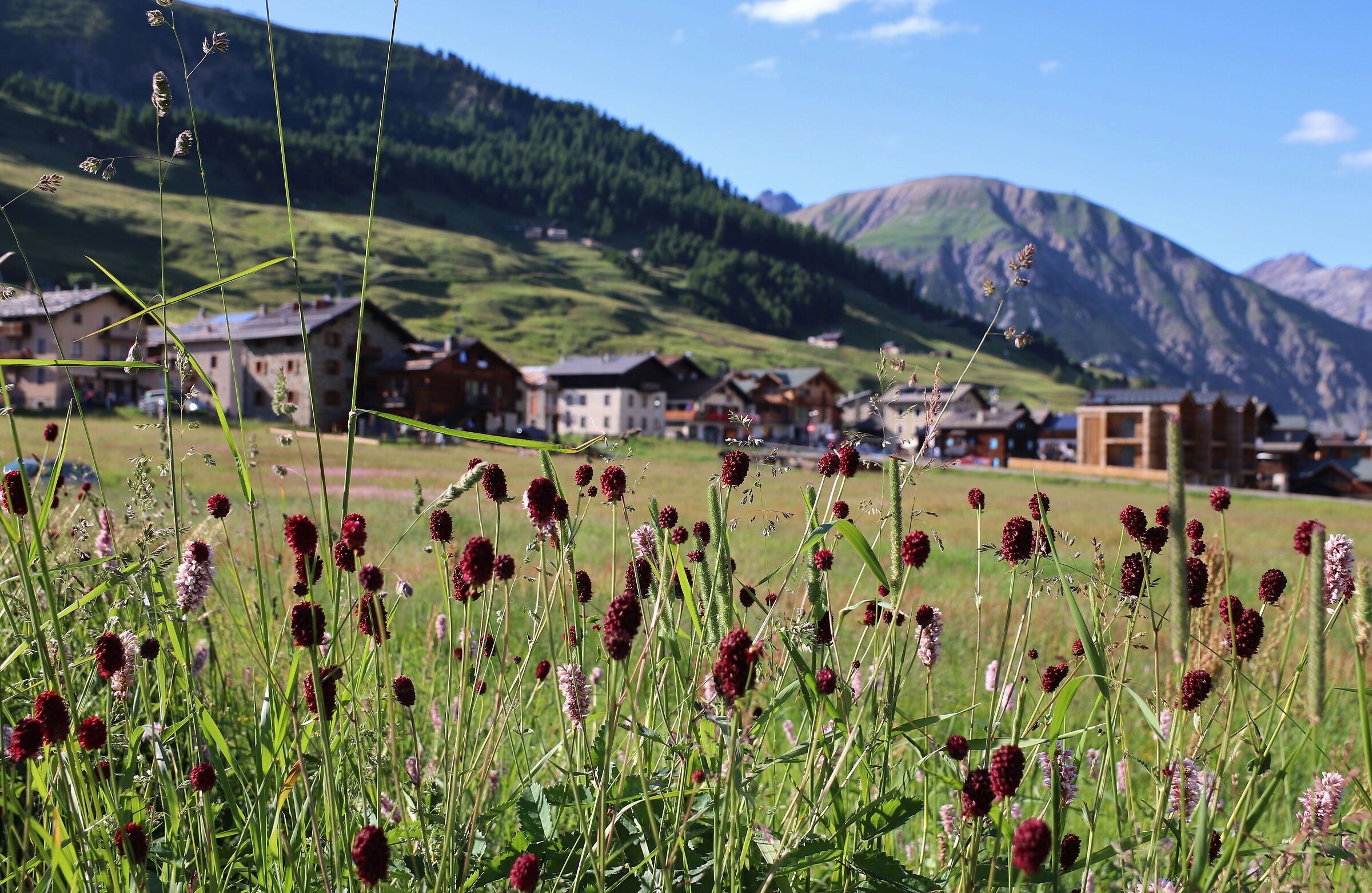 Livigno