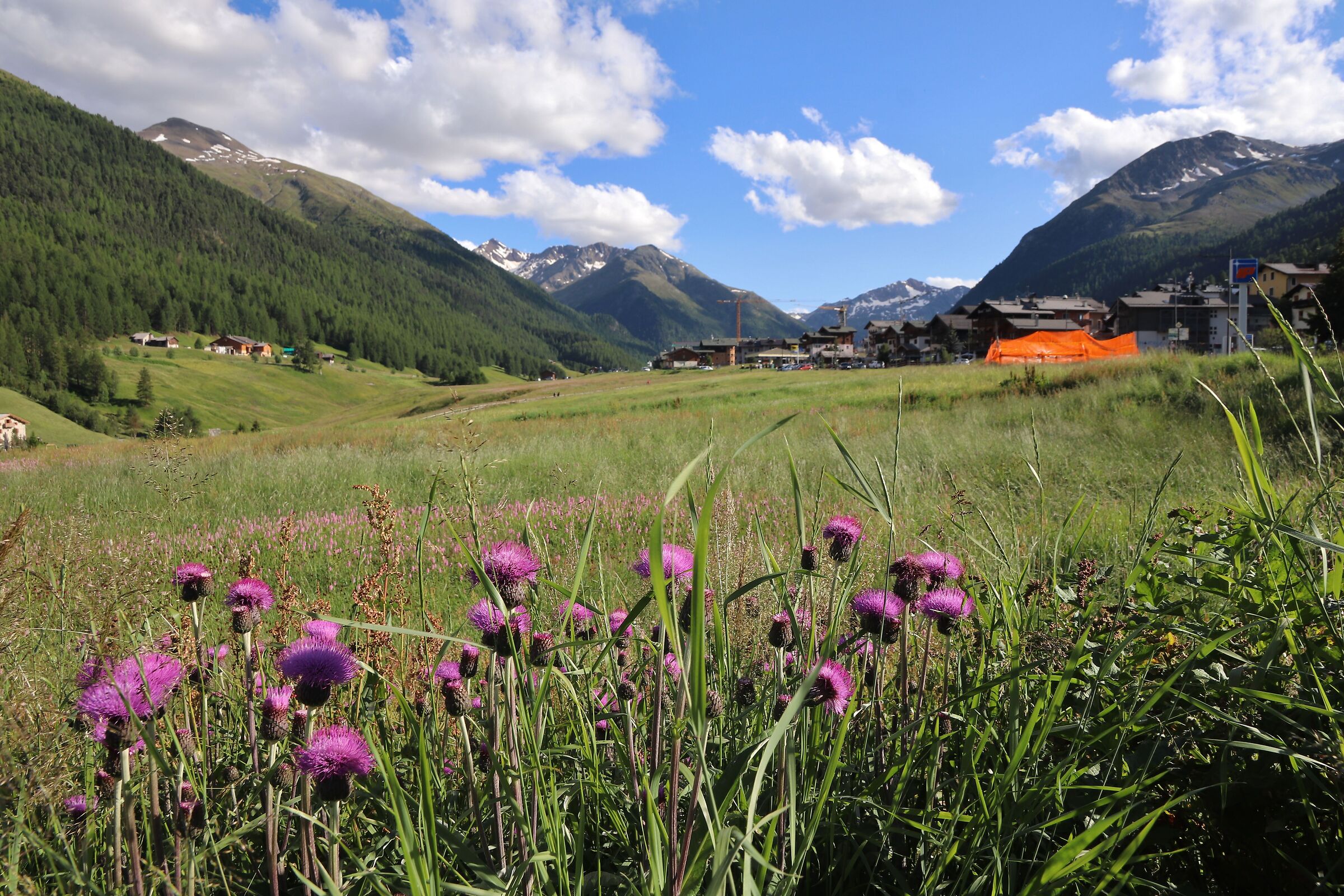 Livigno