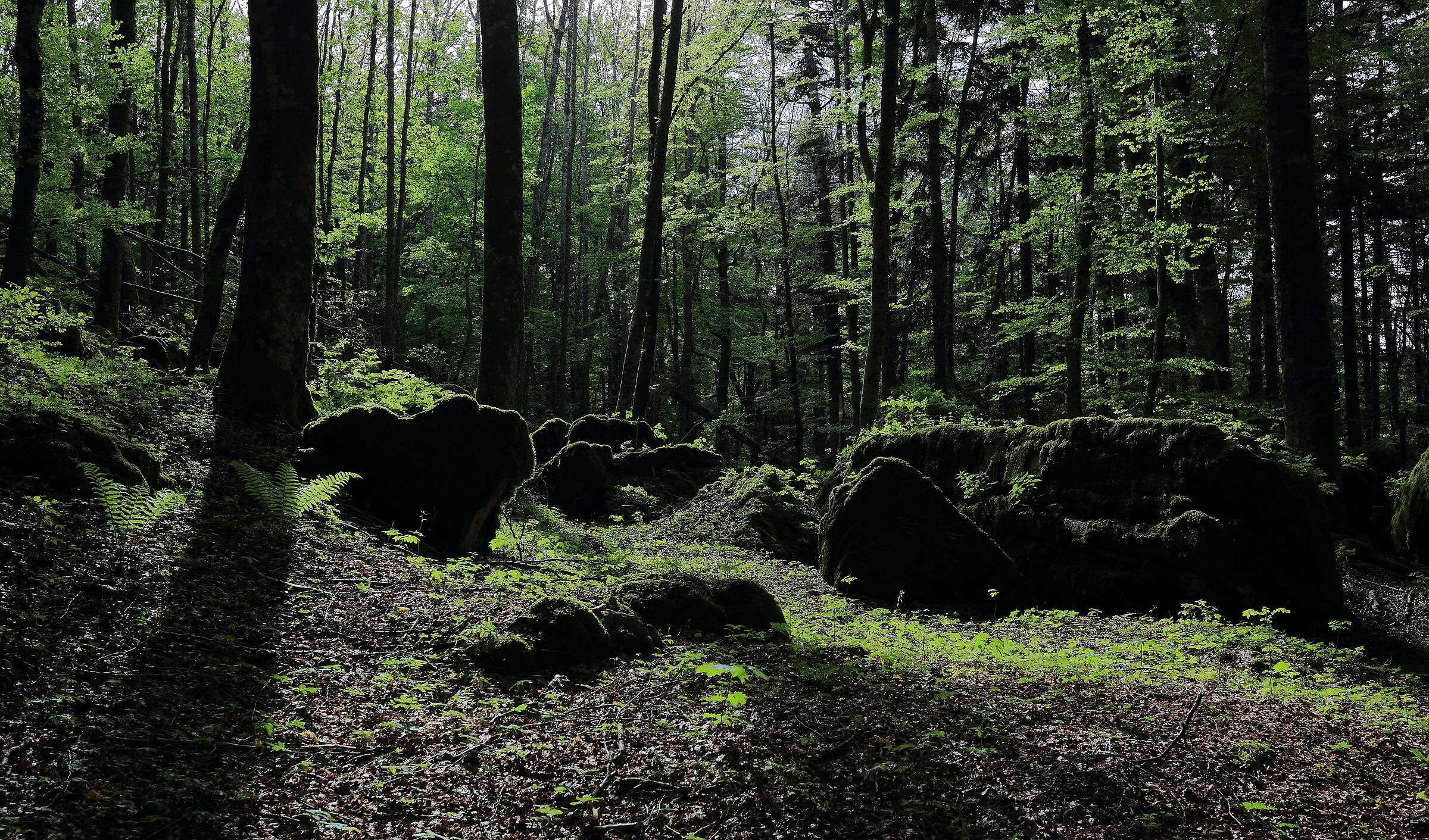 Lingue di luce illuminano i massi