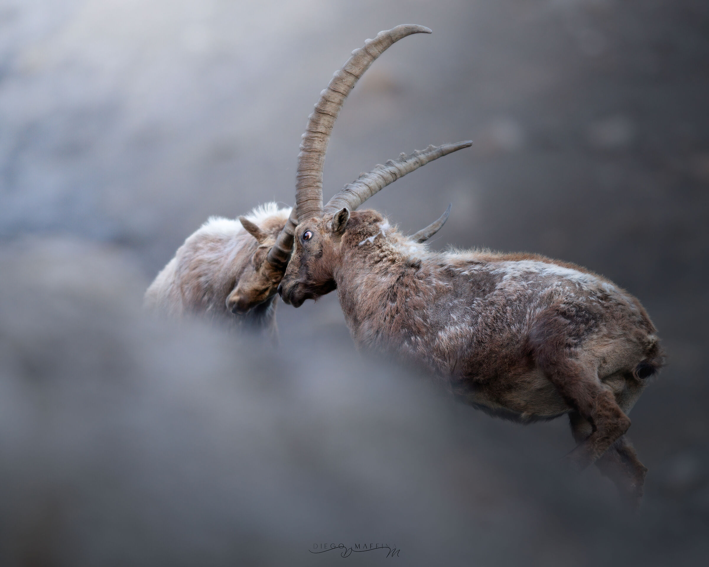 Skirmishes at high altitude