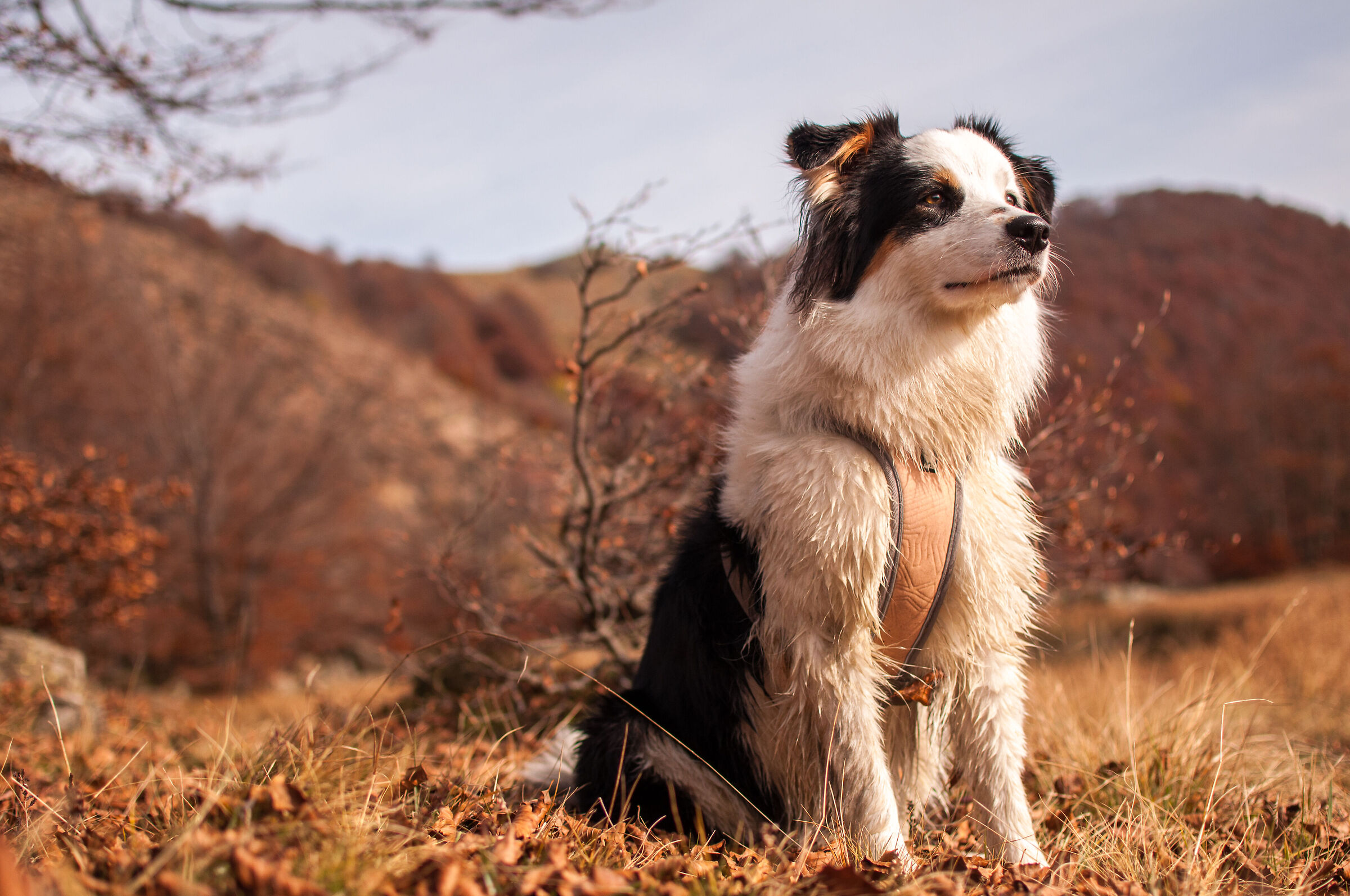 La mia Leslie in posa