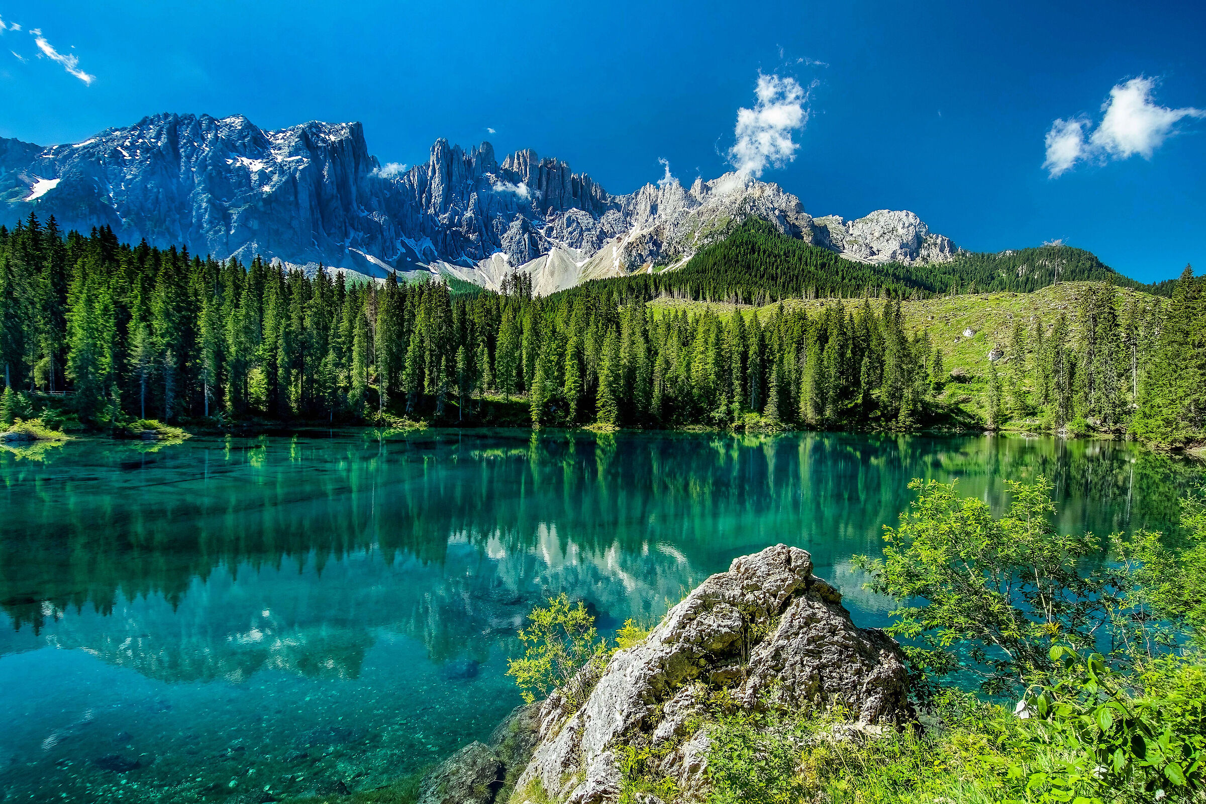 Una Carezza di Vaia.