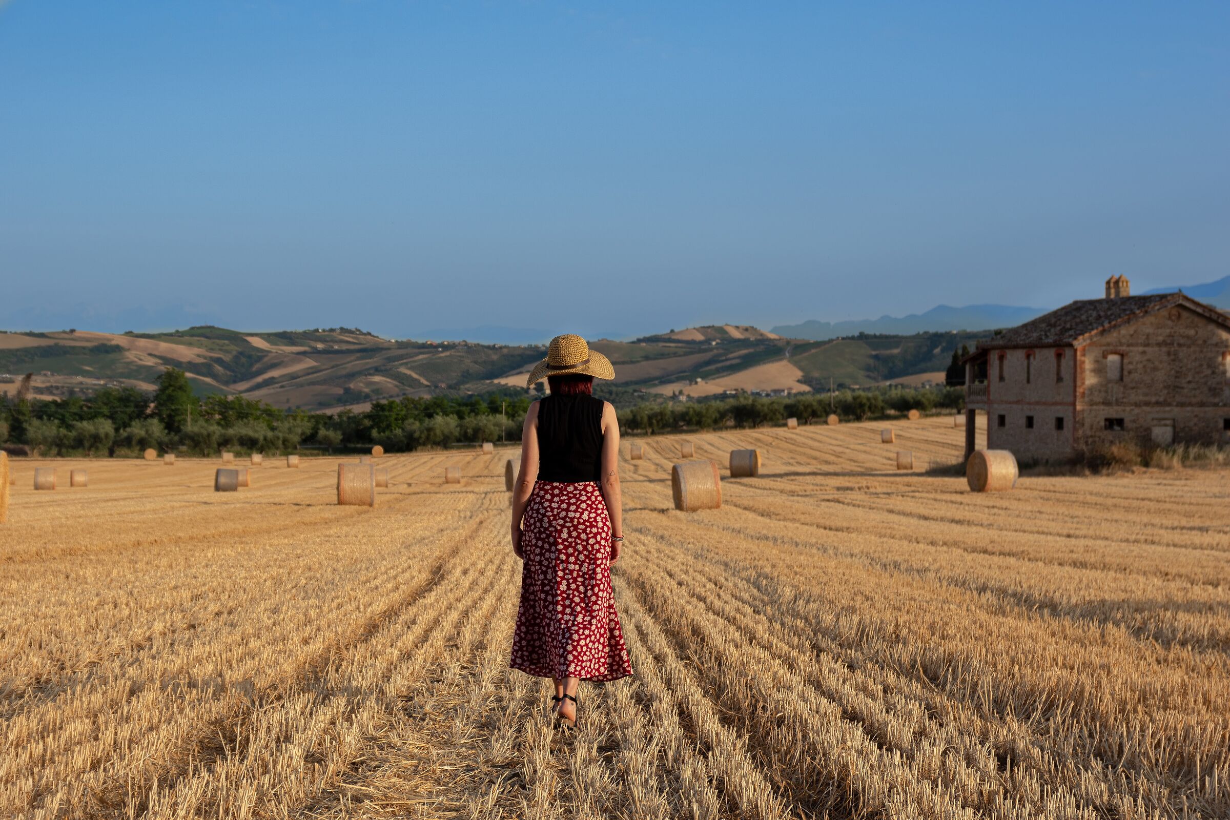 Un quadro nella natura
