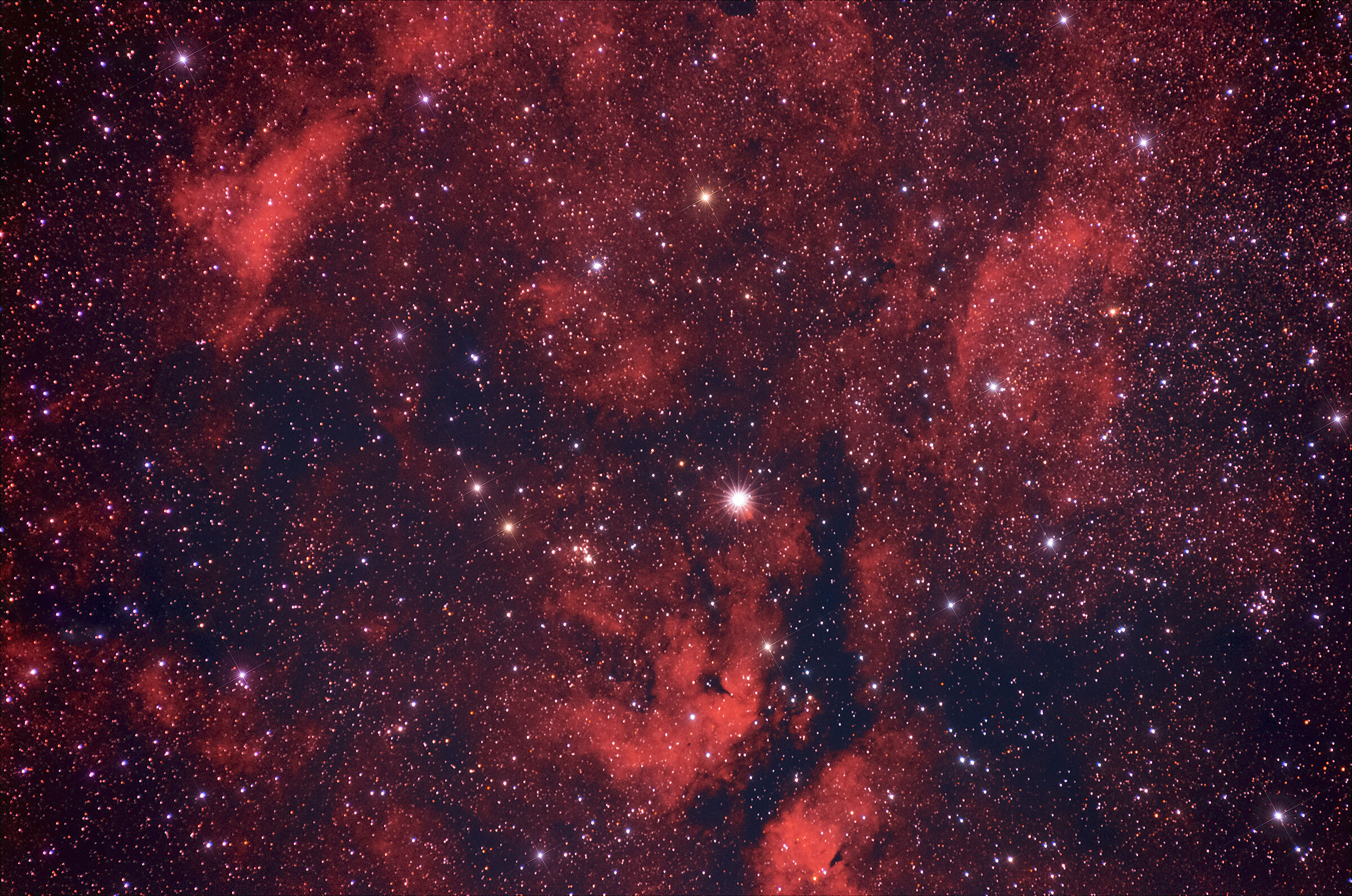 ic1318 e Y Cygni