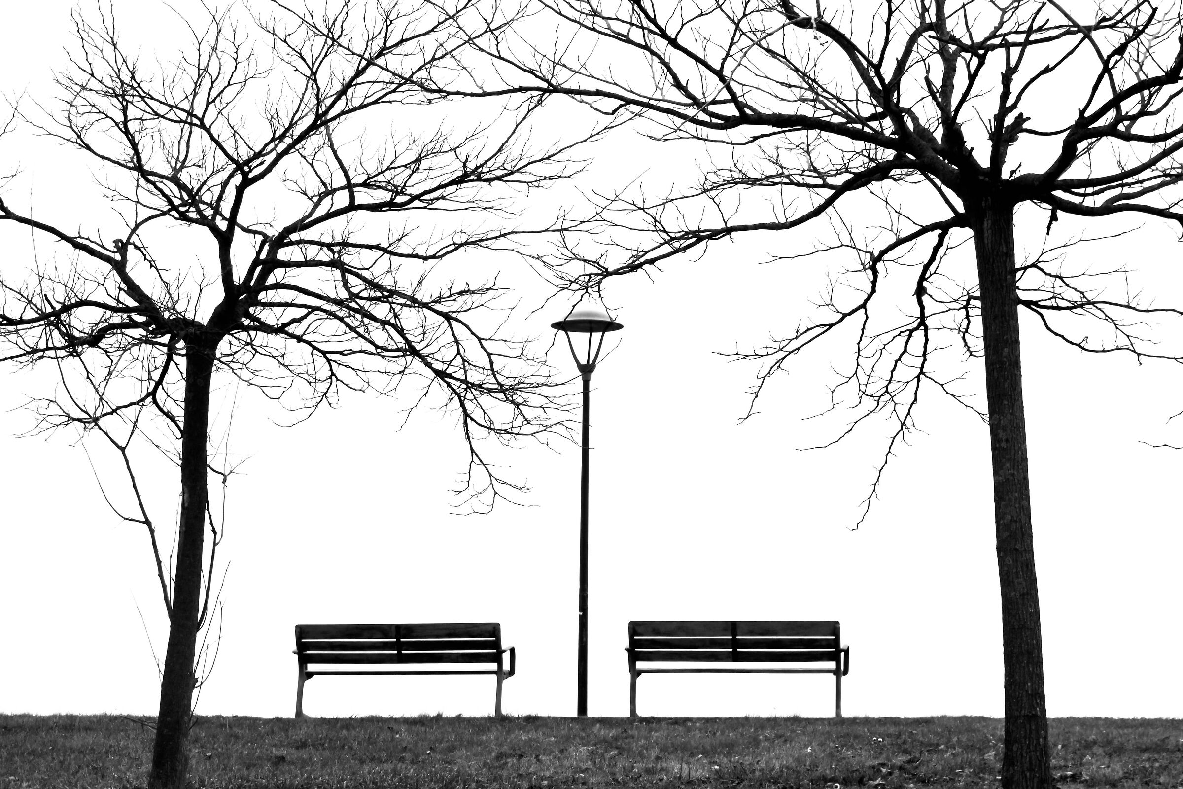 absence