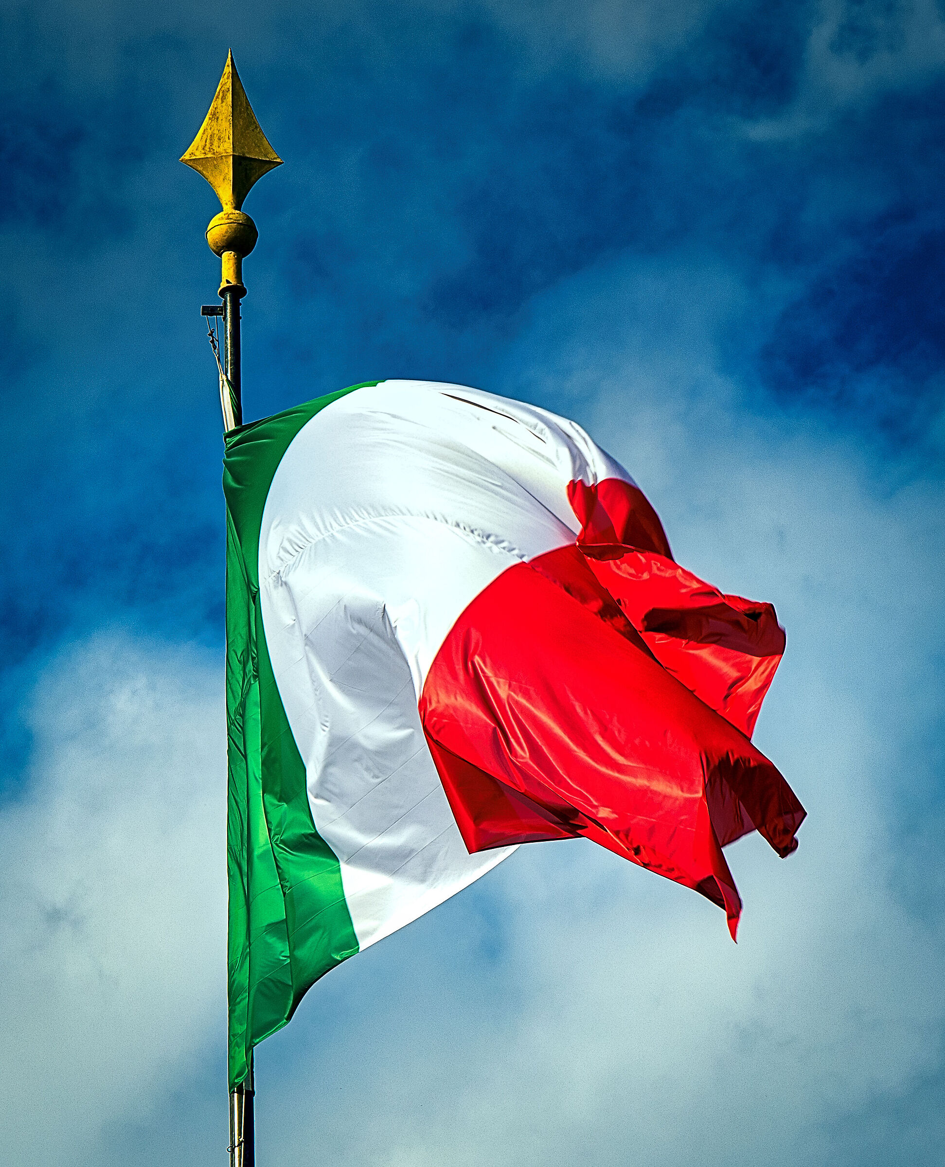 Tricolor, in color