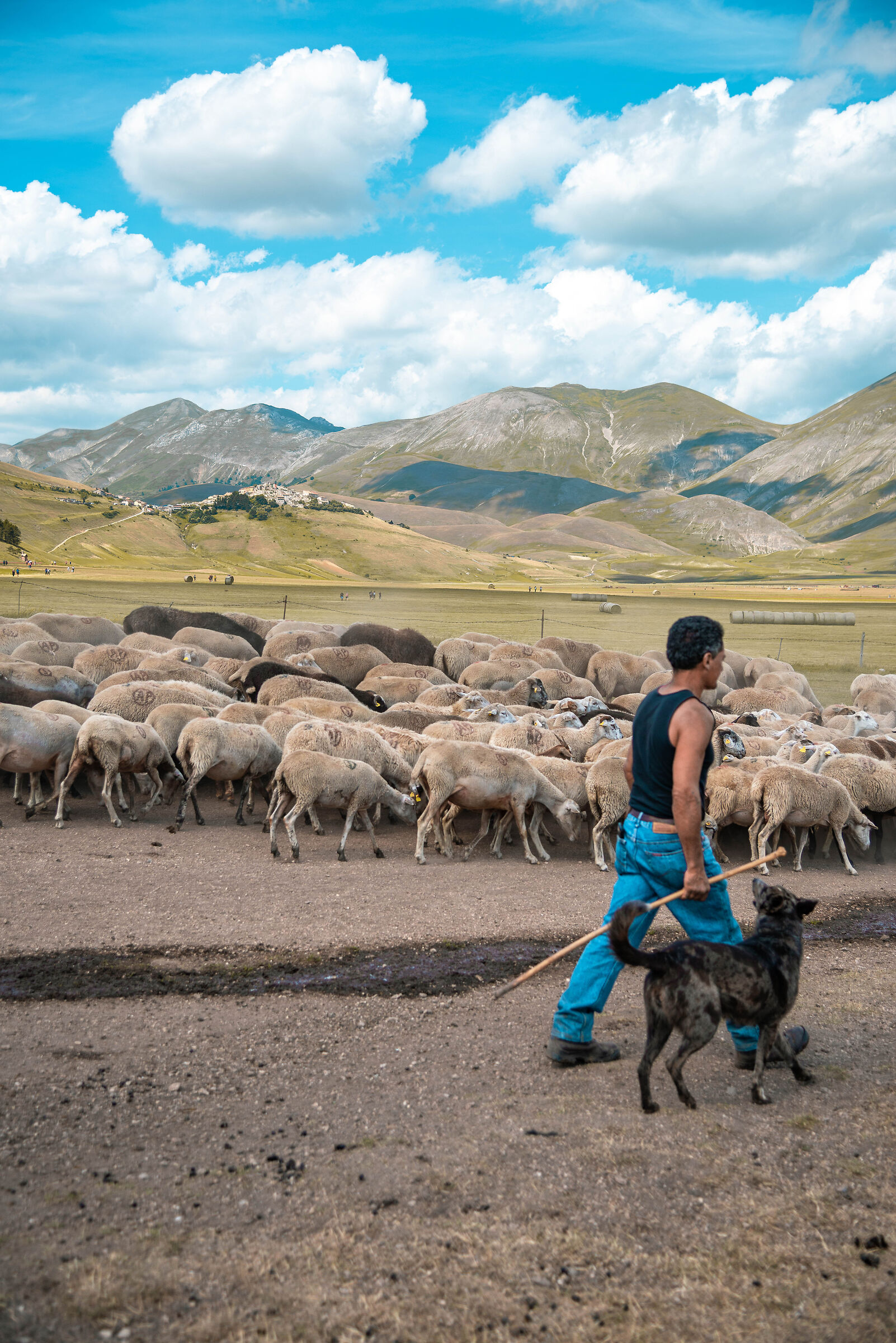 Castelluccio