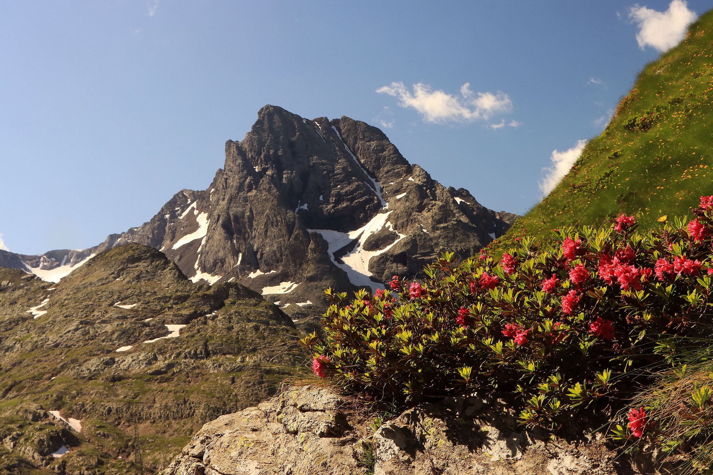 la natura è straordinaria