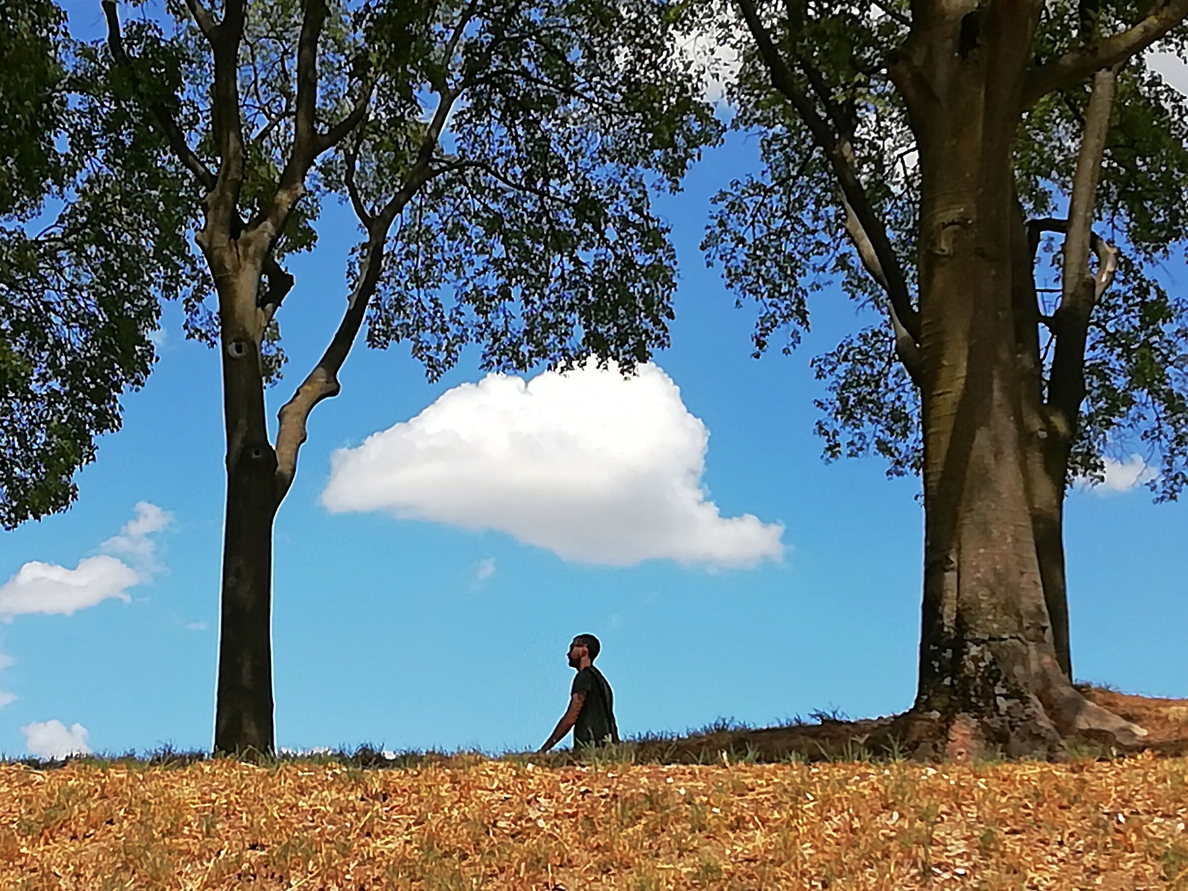 Con la testa tra le nuvole