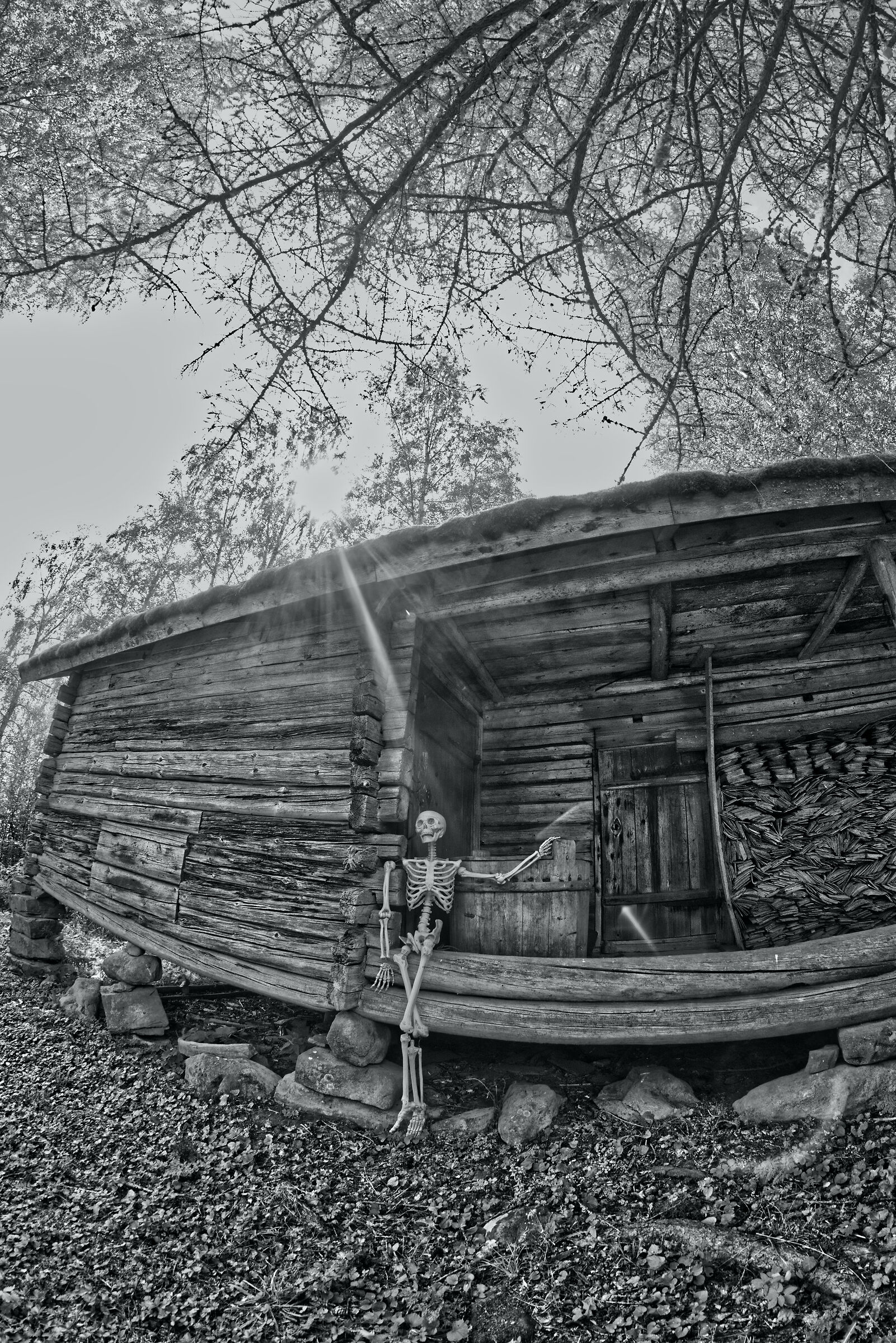 Posa scheletro come top model